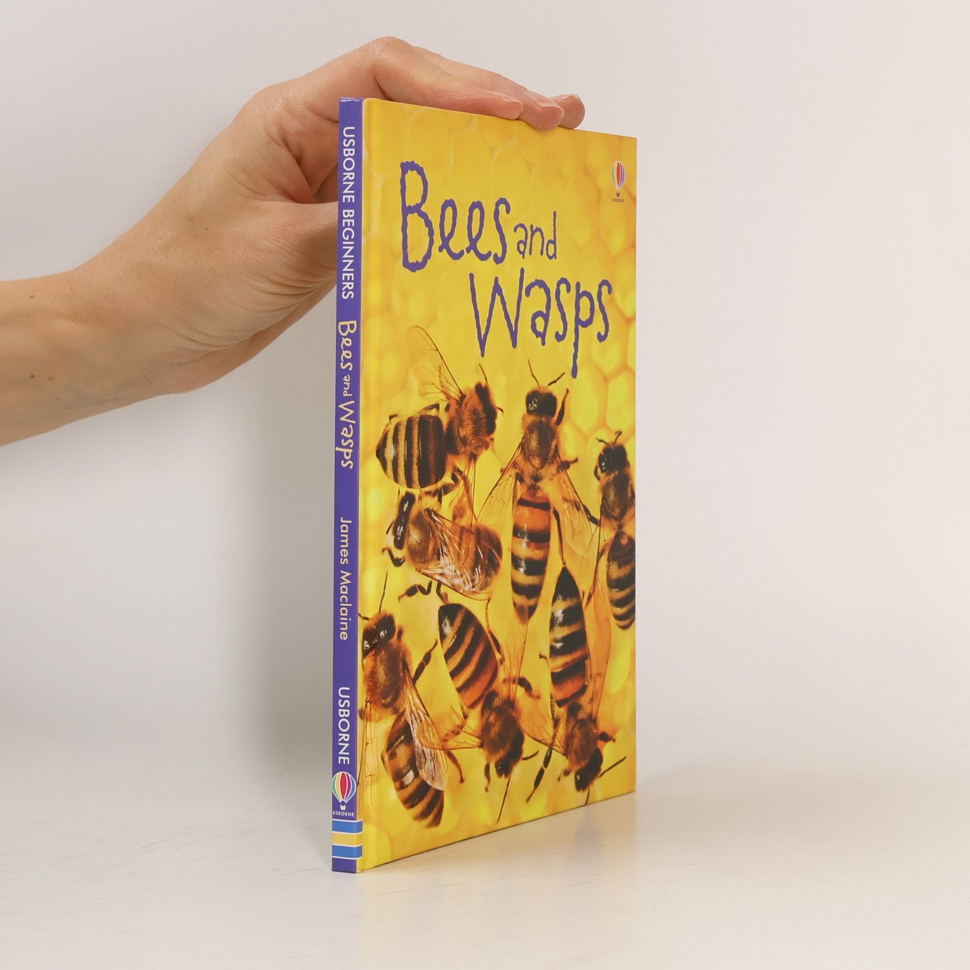 James Maclaine Usborne Beginners: Bees and Wasps