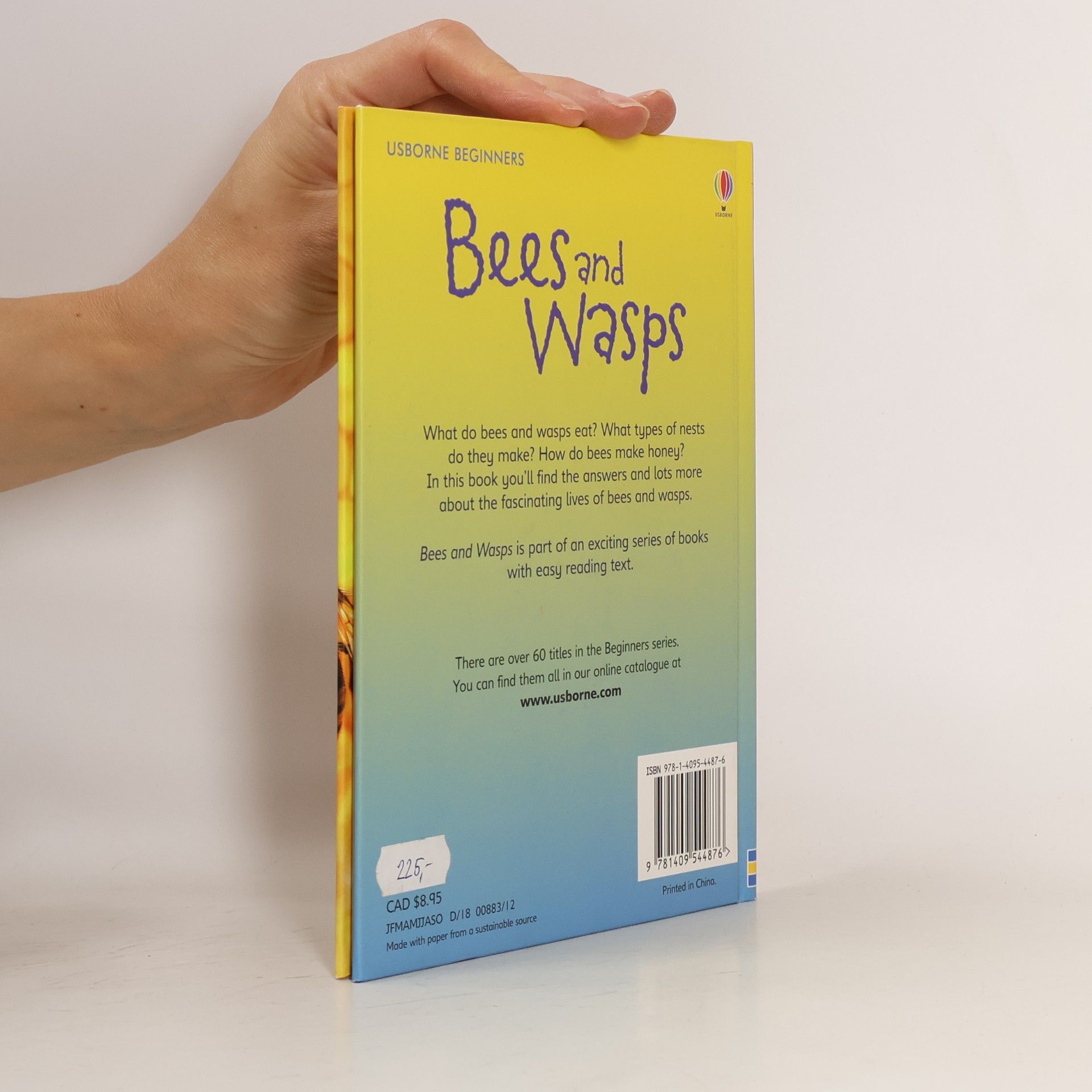 James Maclaine Usborne Beginners: Bees and Wasps