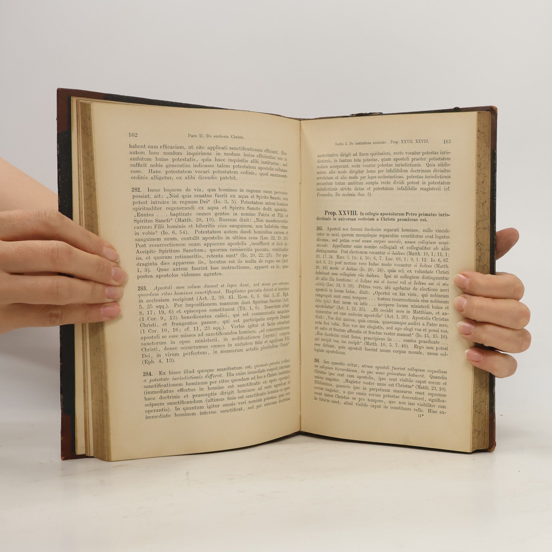 Christianus Pesch S. J. Praelectiones Dogmaticae I