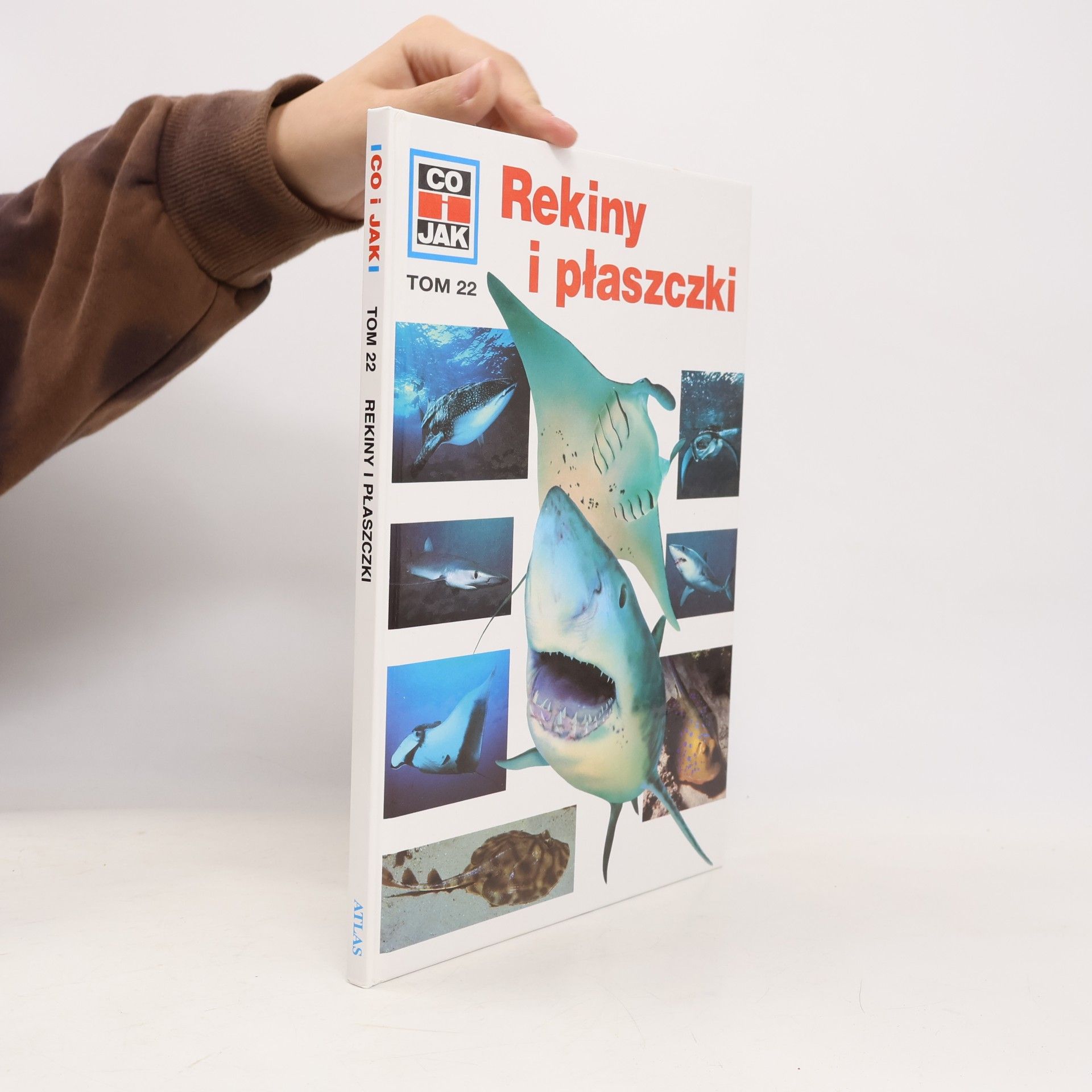 Autorenkollektiv CO i JAK - 22: Rekiny i płaszczki