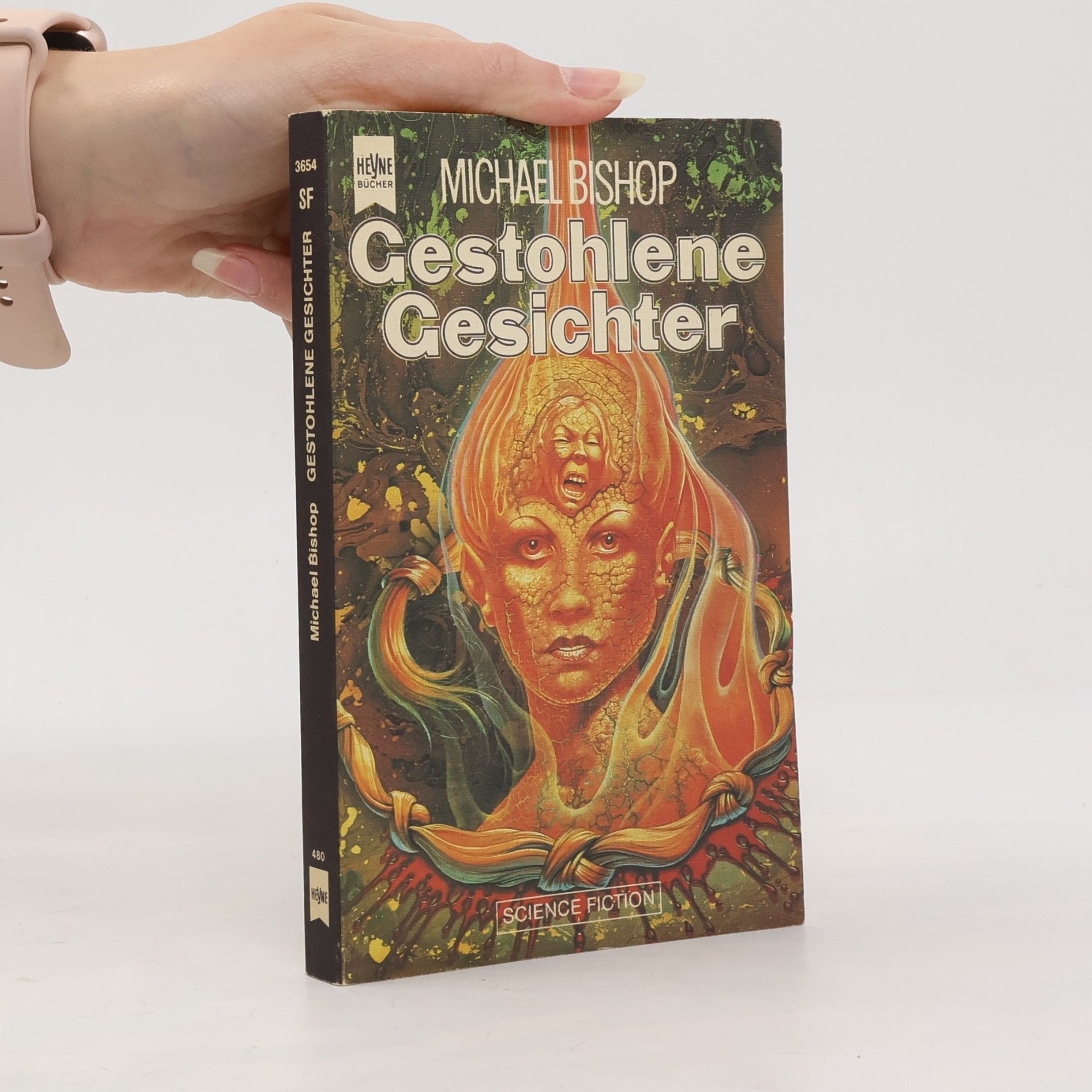 Michael Bishop Gestohlene Gesichter
