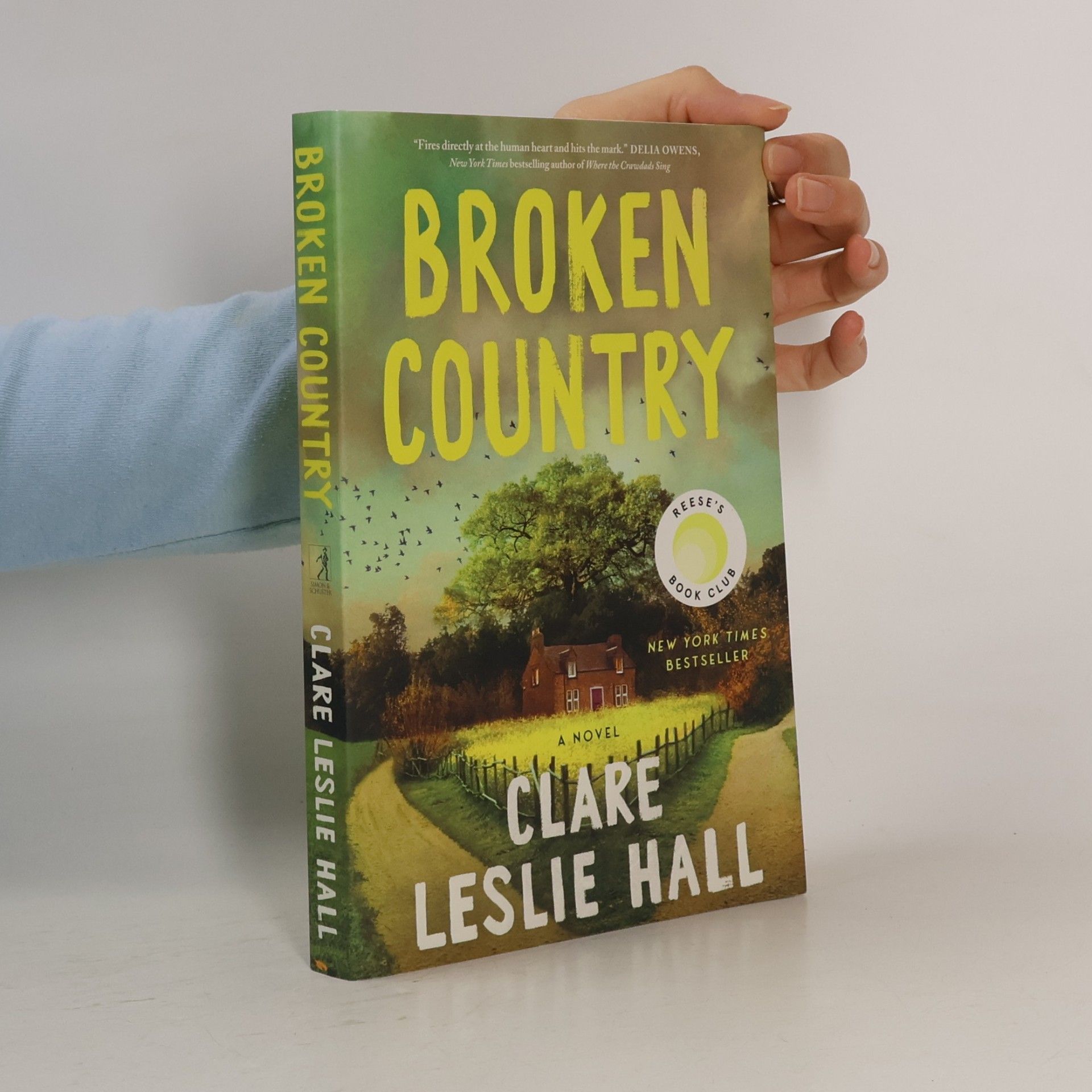 Clare Leslie Hall Broken Country