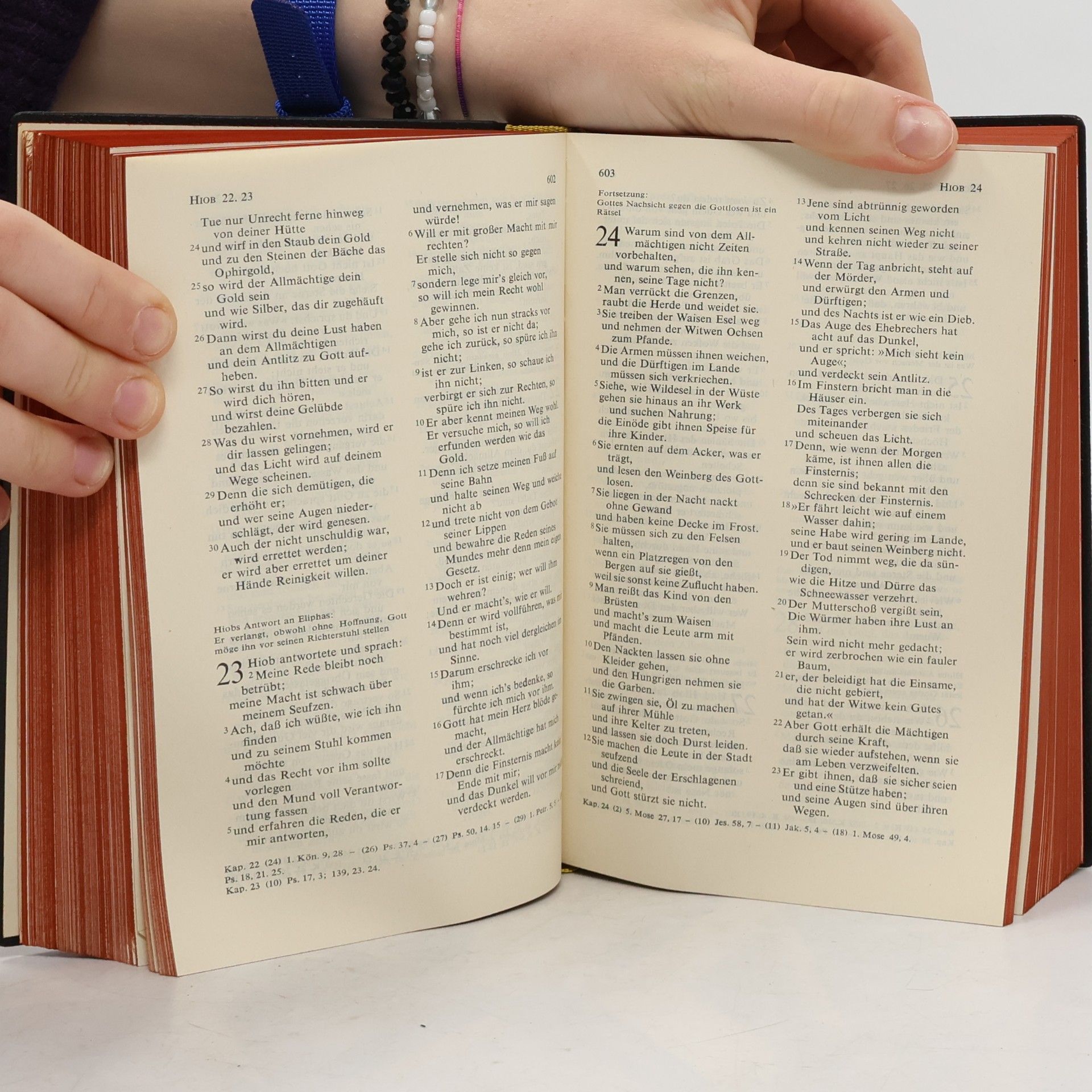 Martin Luther Die Heilige Schrift