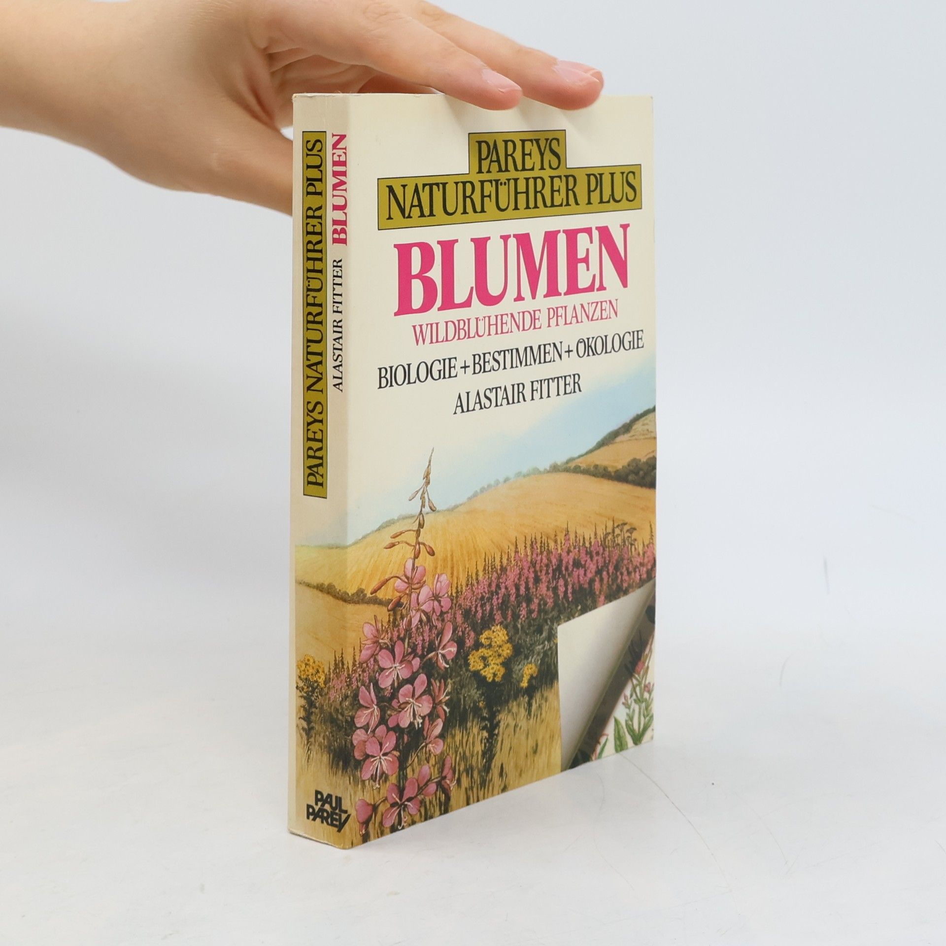 Blumen