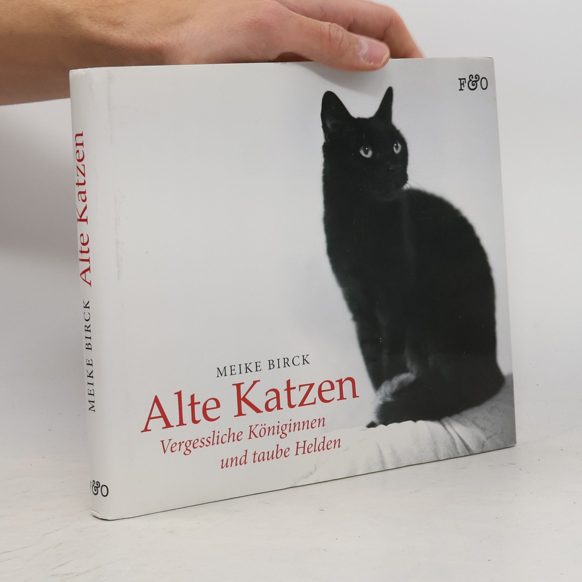 Meike Birck Alte Katzen