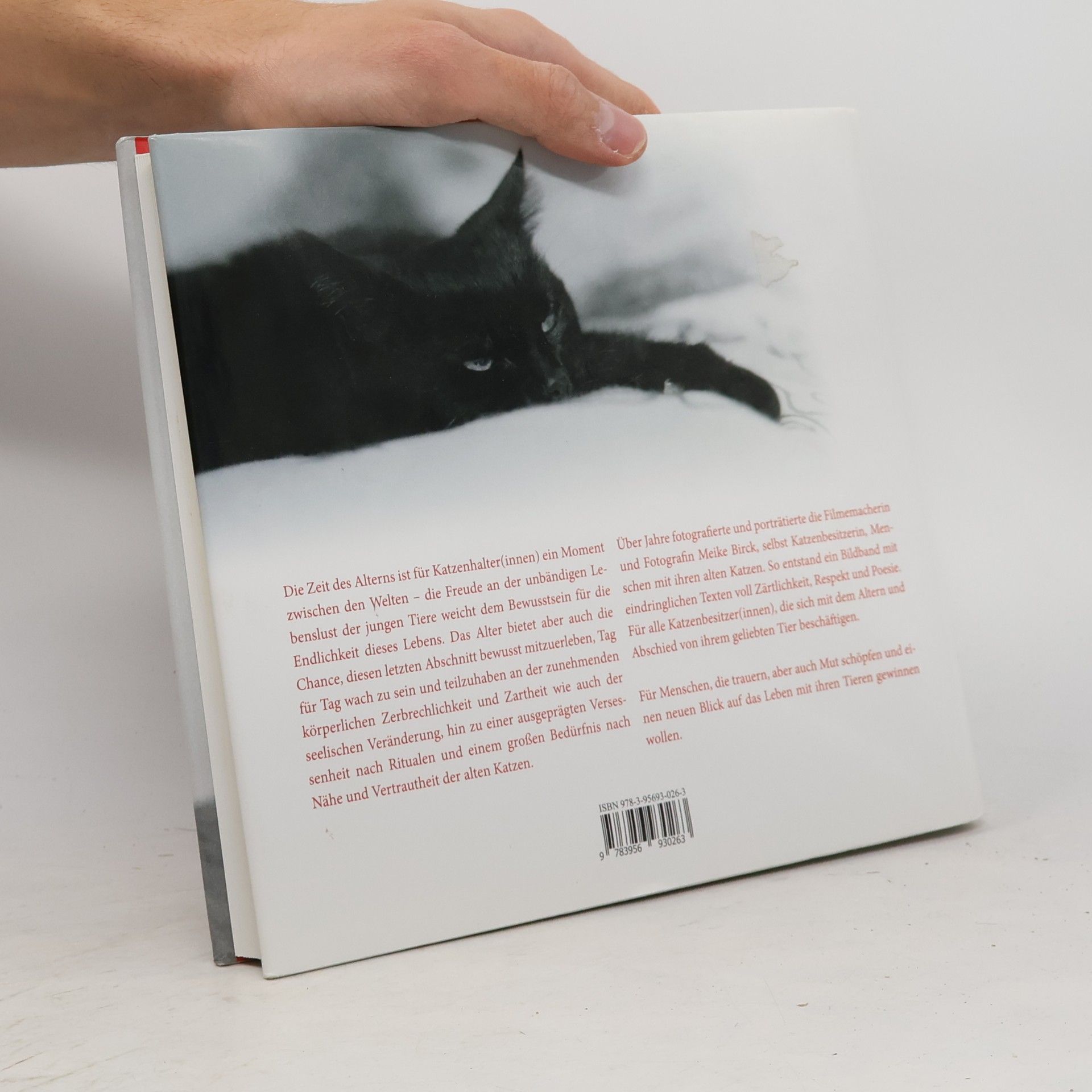 Meike Birck Alte Katzen