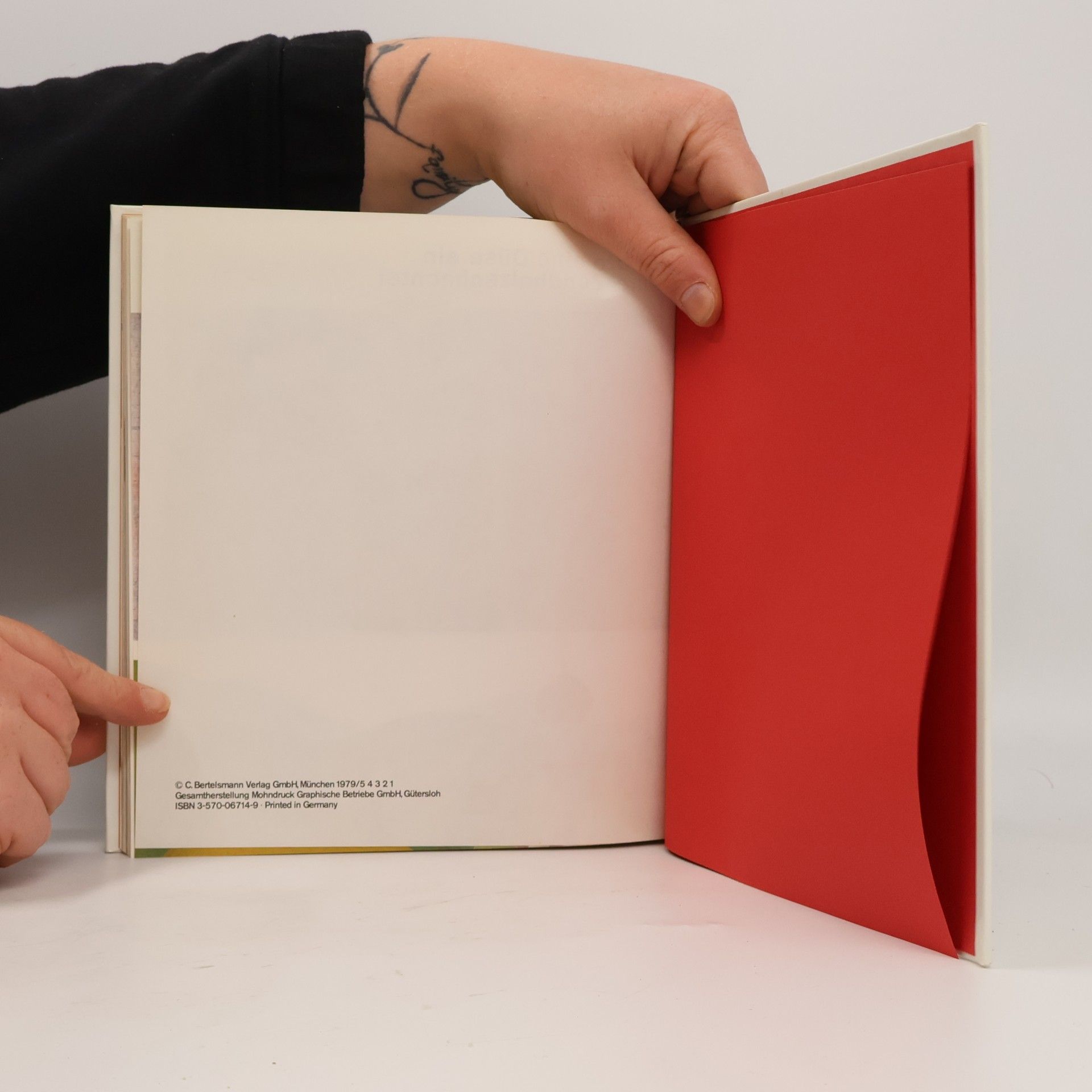 Jürgen Spohn Der große Spielbaum. Die schönsten Bilder und Verse in einem Band
