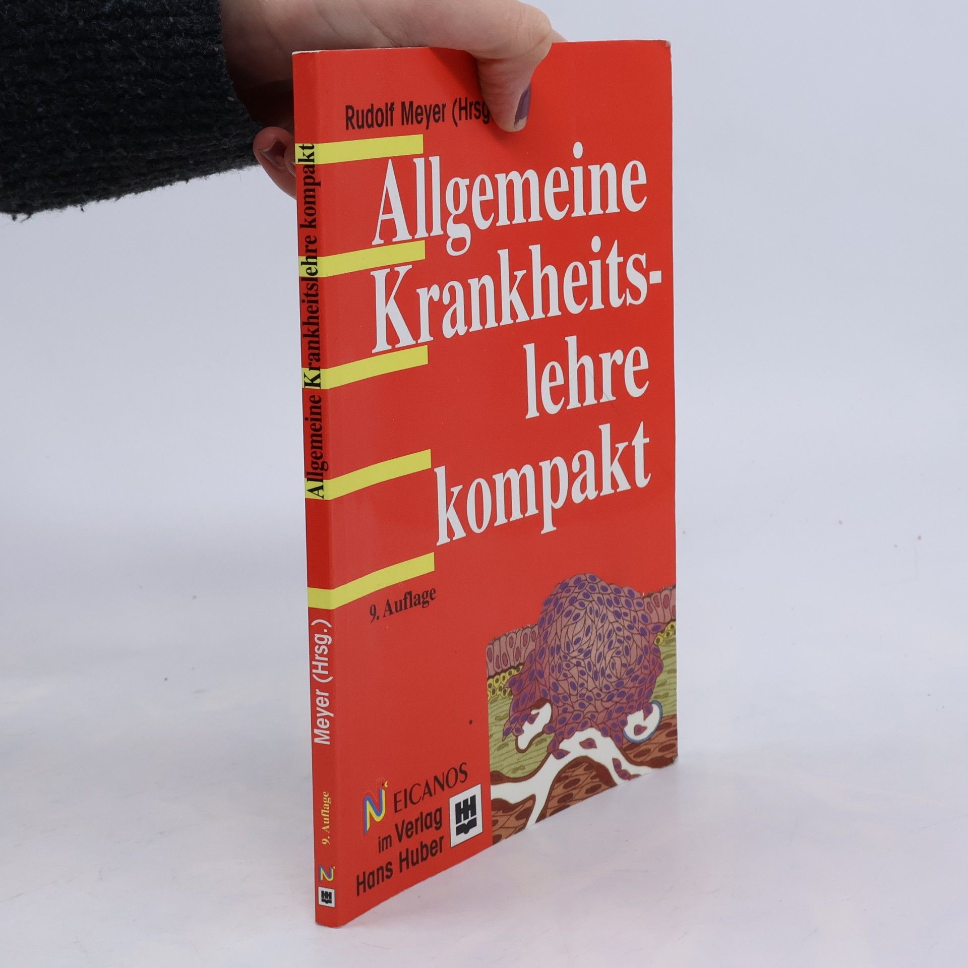 Rudolf Hermann Meyer Allgemeine Krankheitslehre kompakt