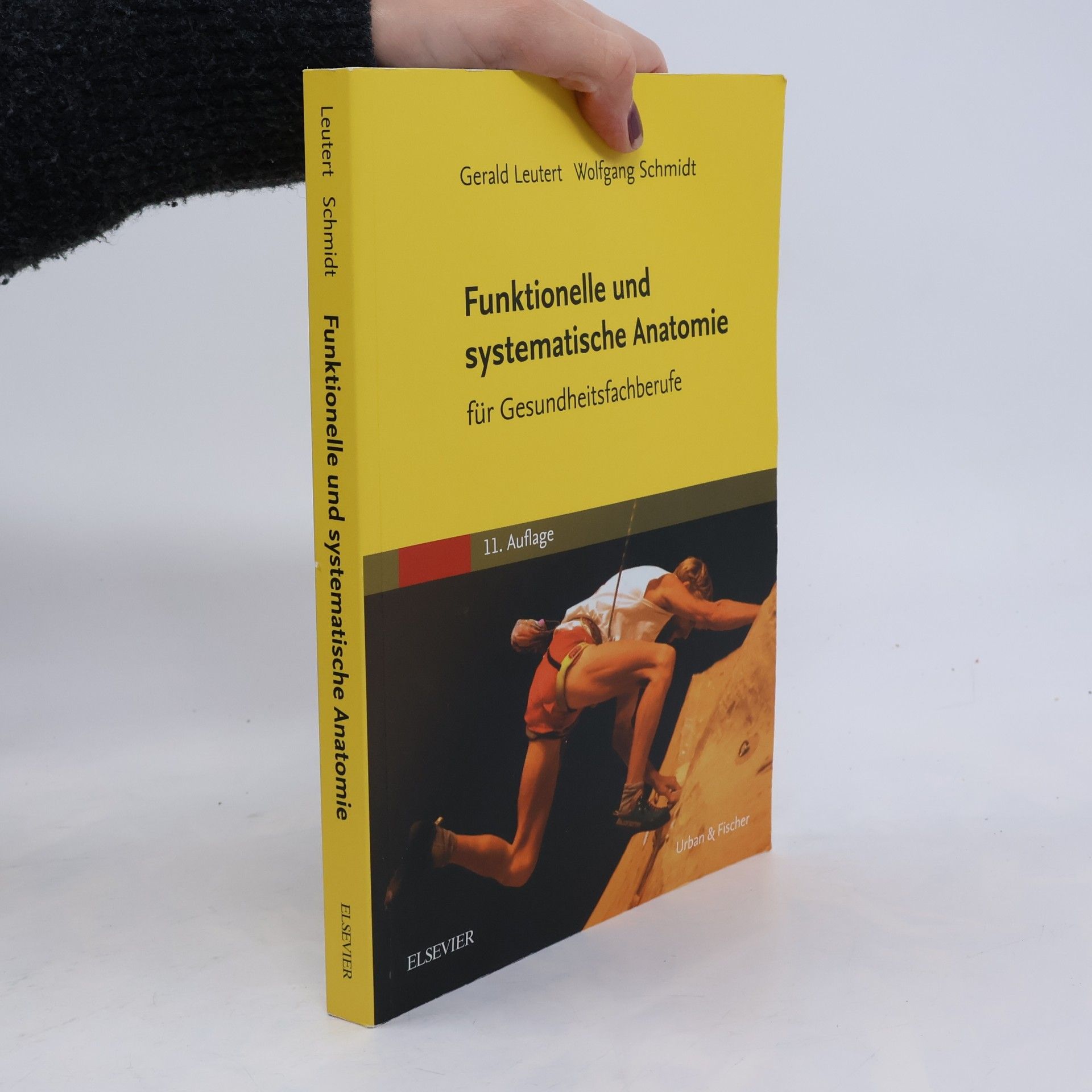 Wolfgang Schmidt Funktionelle und systematische Anatomie für Gesundheitsfachberufe - 11. Auflage