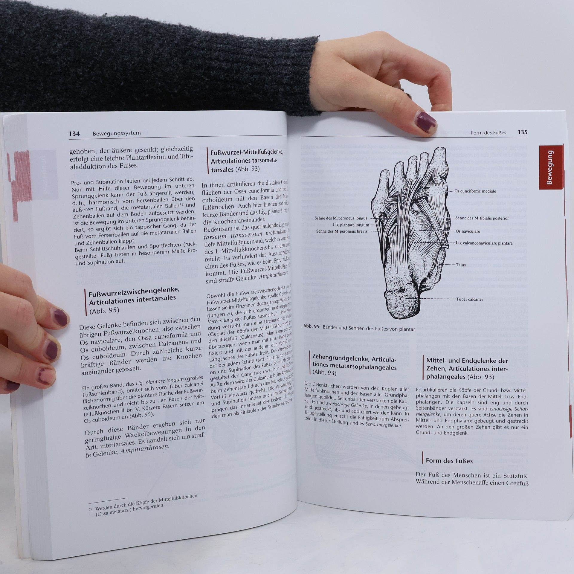 Gerald Leutert Funktionelle und systematische Anatomie für Gesundheitsfachberufe - 11. Auflage