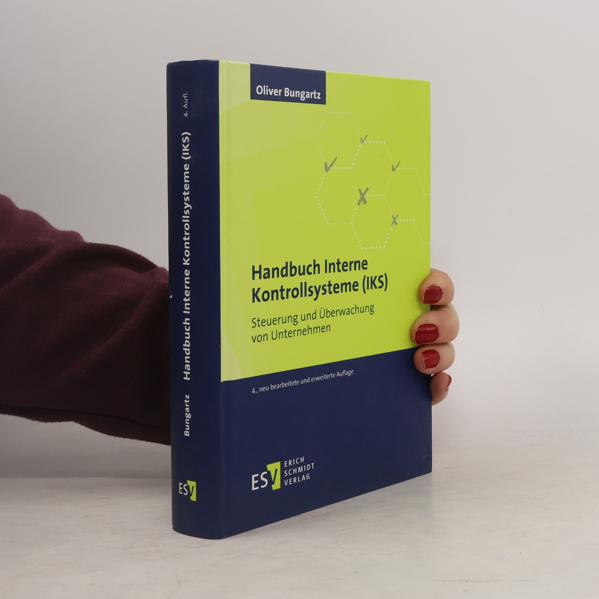 Oliver Bungartz Handbuch Interne Kontrollsysteme (IKS)