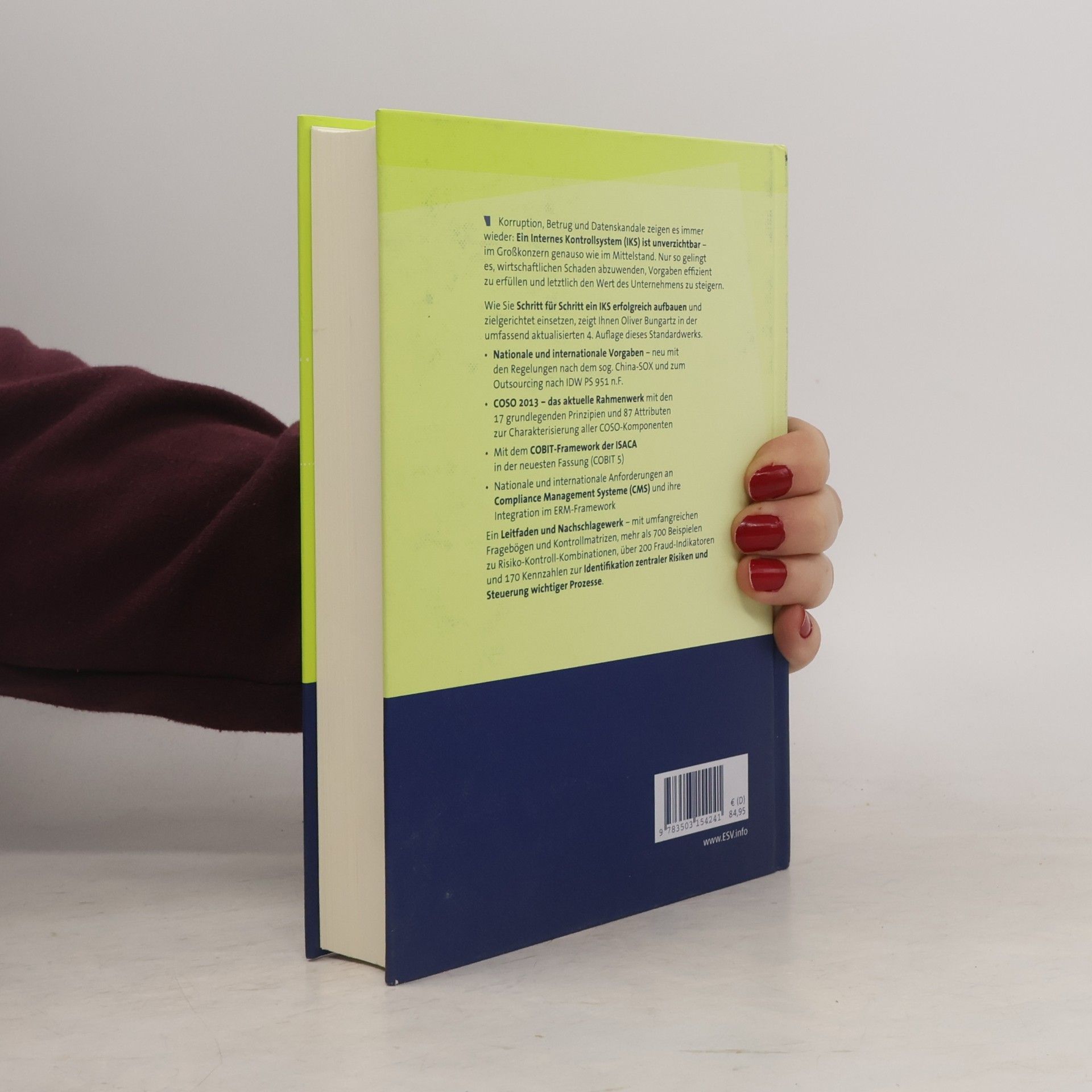 Oliver Bungartz Handbuch Interne Kontrollsysteme (IKS)