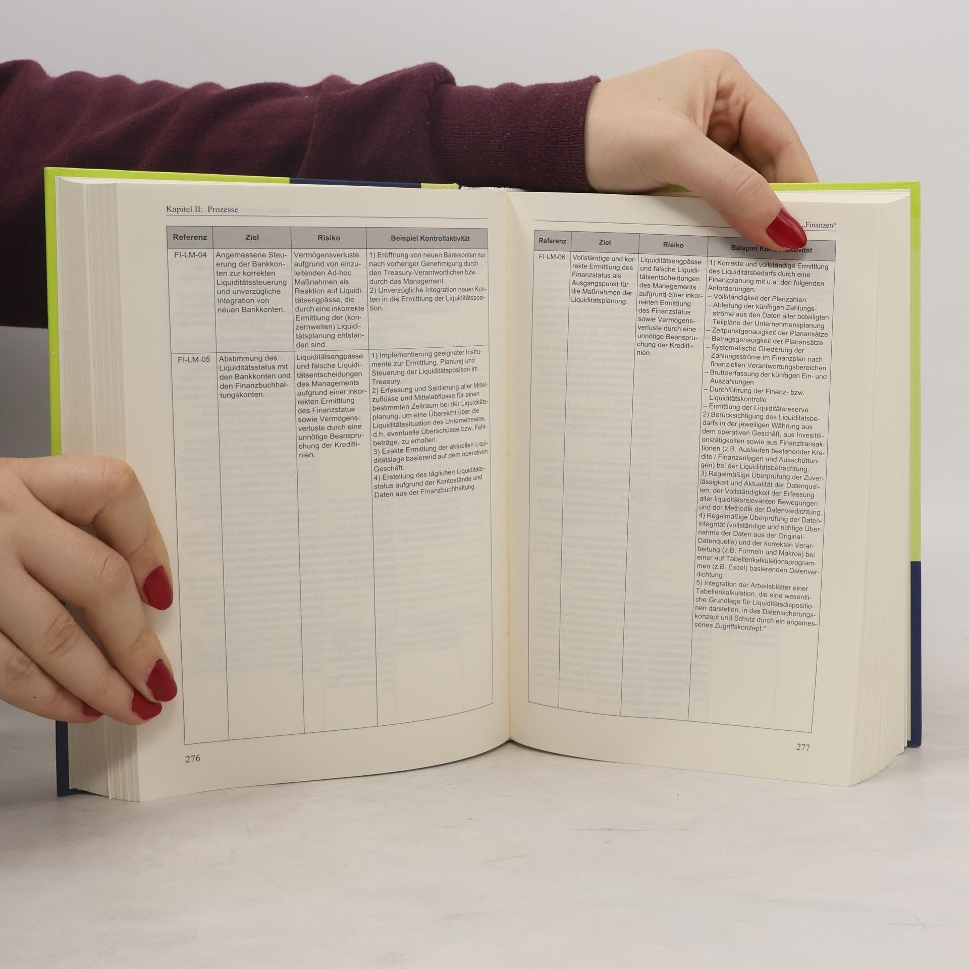 Oliver Bungartz Handbuch Interne Kontrollsysteme (IKS)