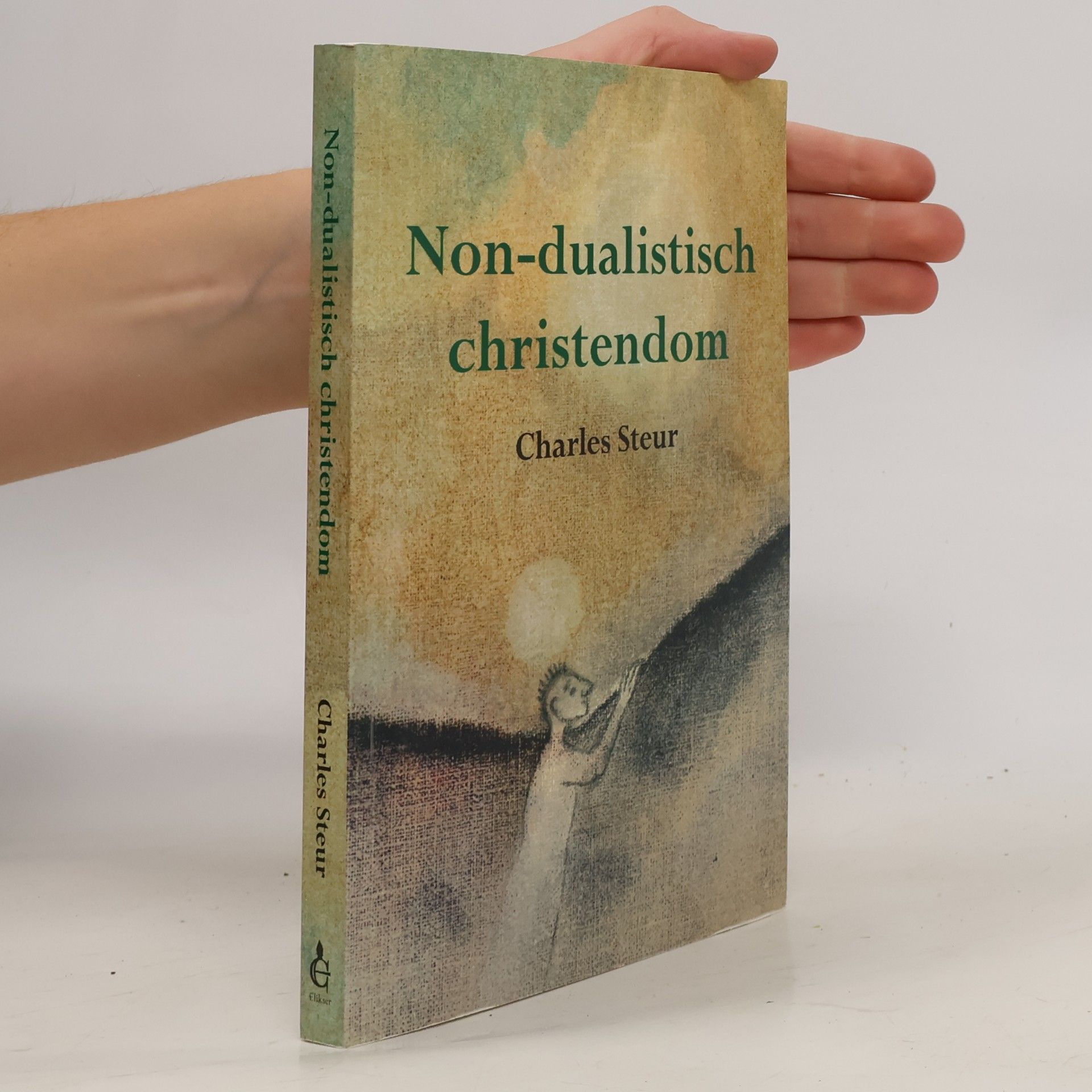 Charles Steur Non-dualistisch christendom
