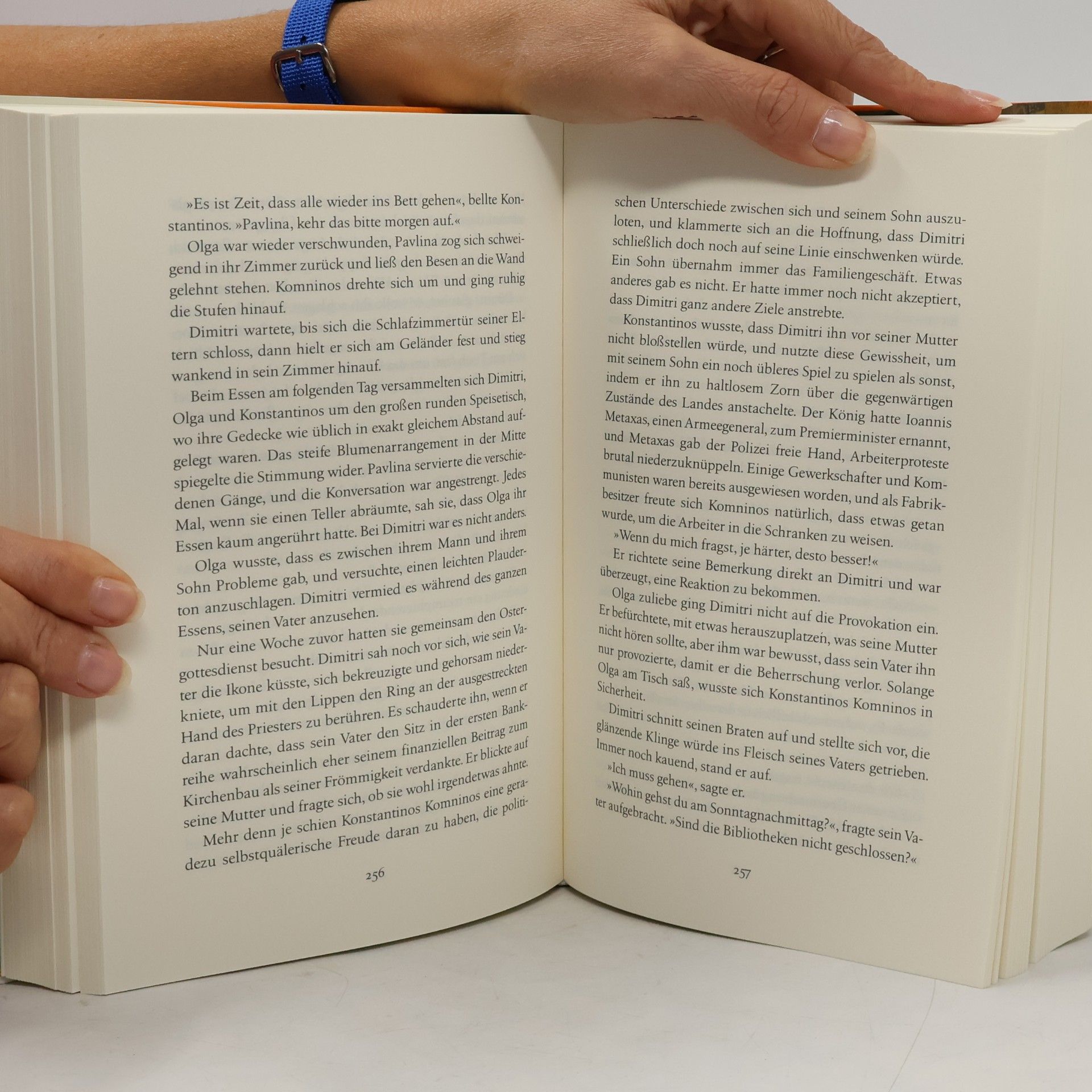 Victoria Hislop Eine Geschichte von Liebe und Feuer