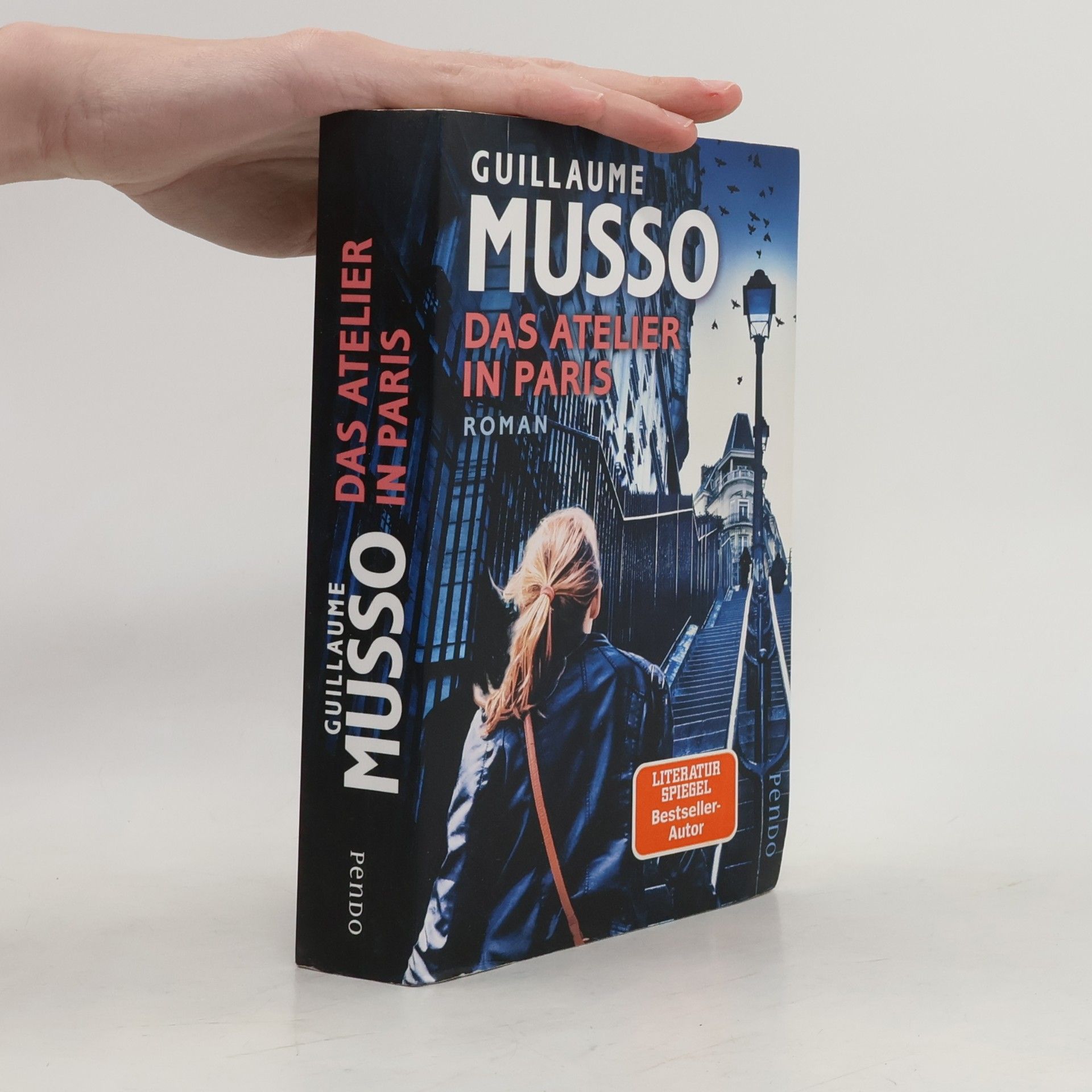 Guillaume Musso Das Atelier in Paris