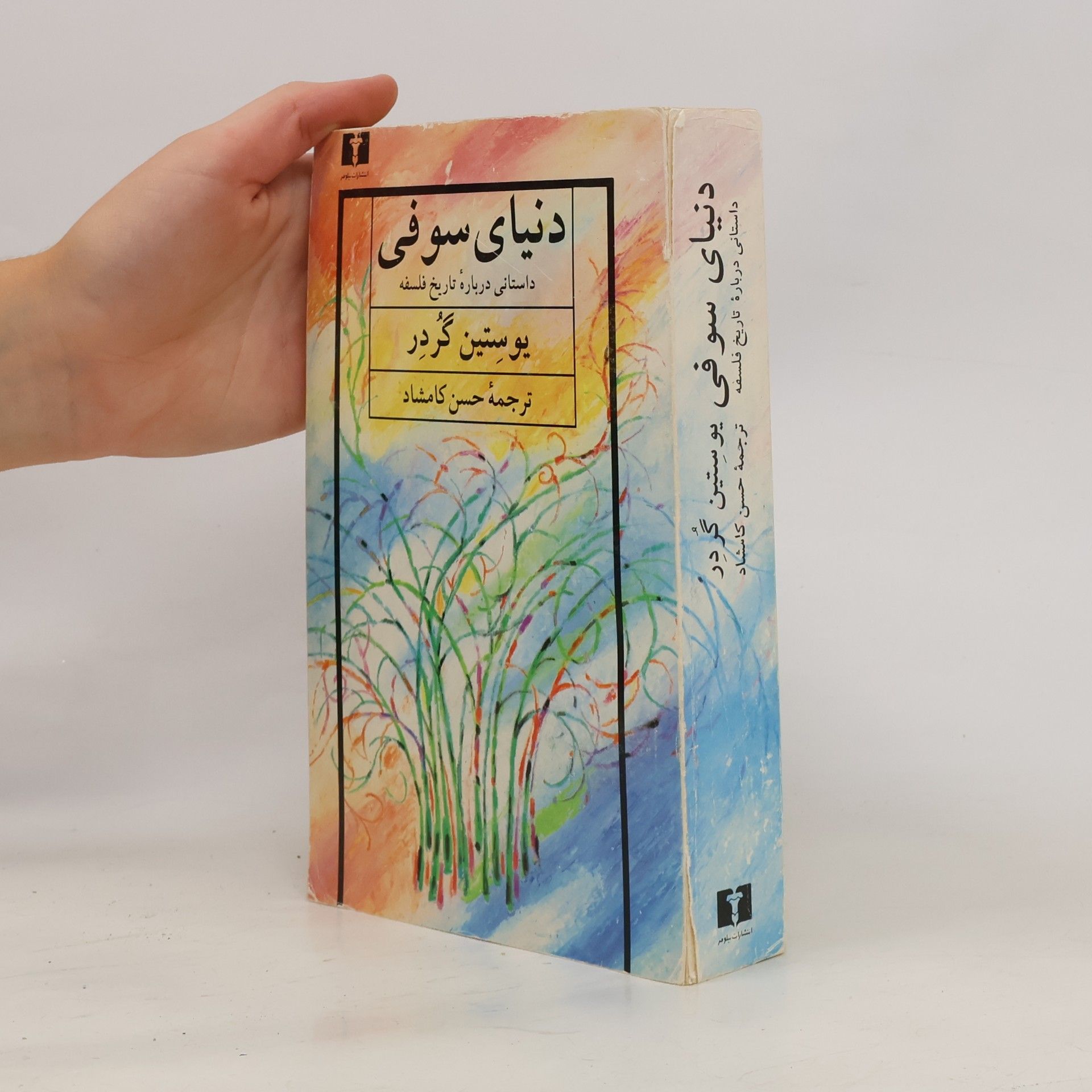 حسن کامشاد دنیای سوفی