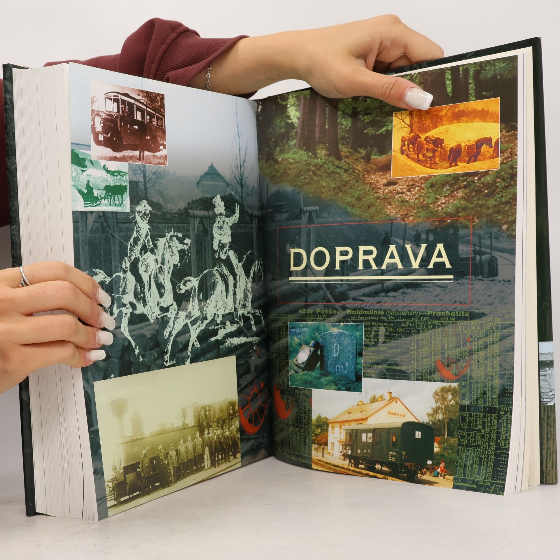 Various authors Šumava. Příroda, historie, život