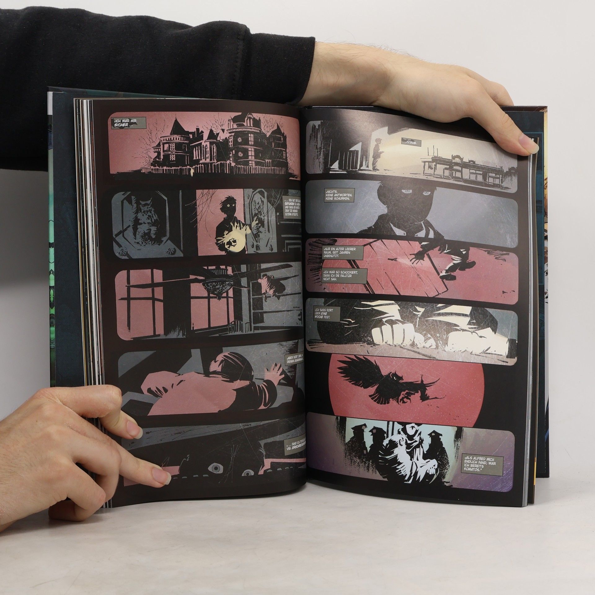 Scott Snyder Batman - Die Chroniken des Dunklen Ritters 2. Der Rat der Eulen