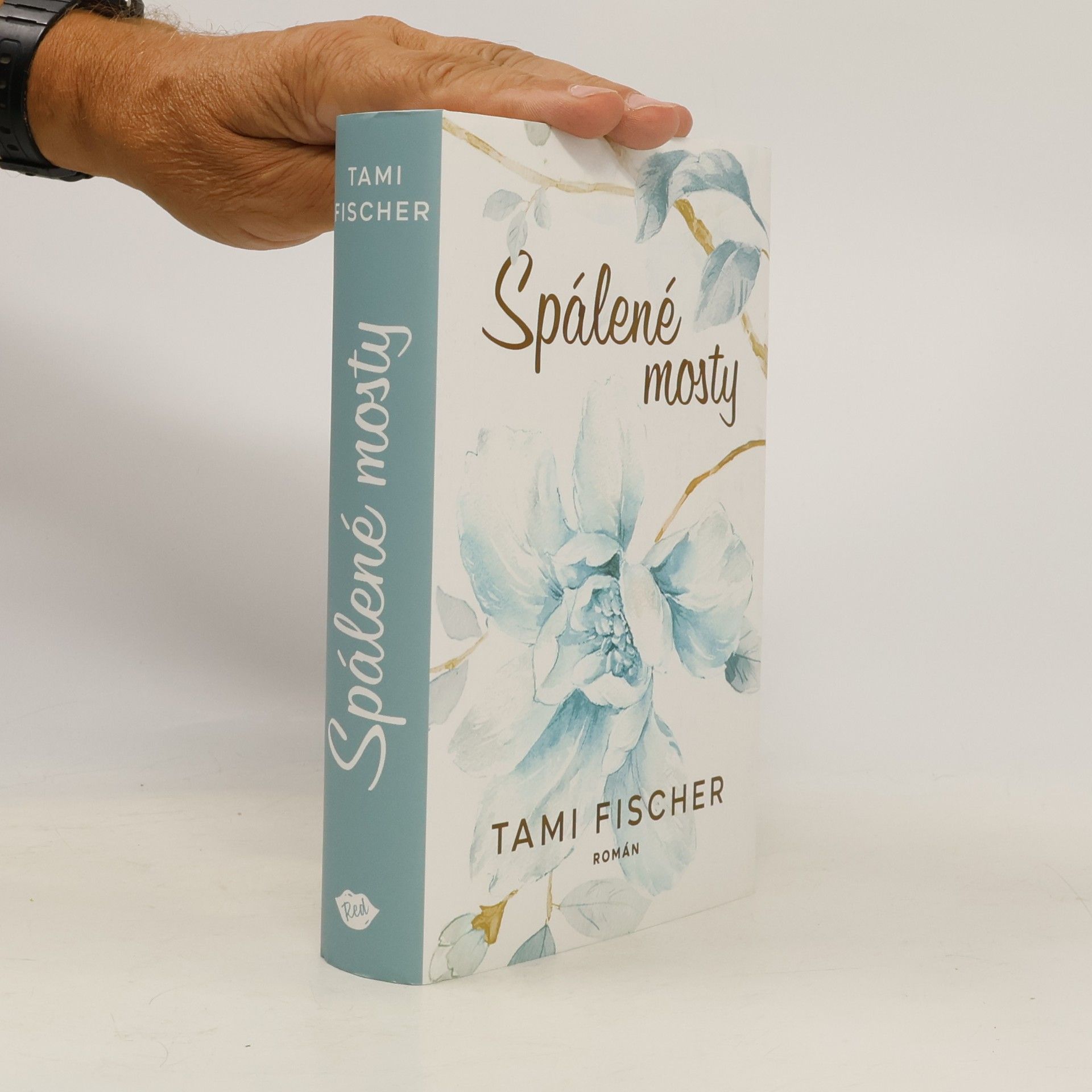 Tami Fischer Spálené mosty