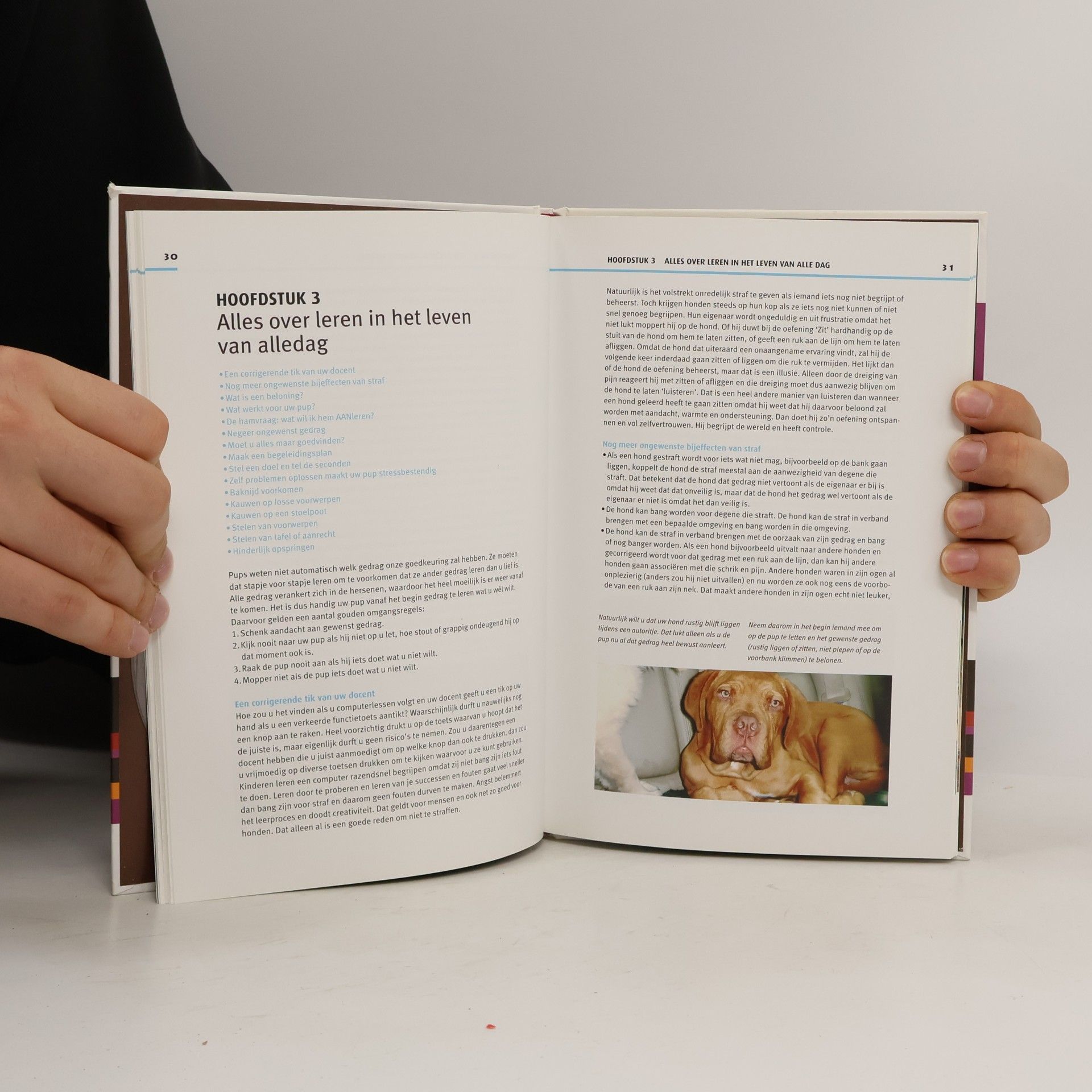 Martin Gaus Een puppy in huis + DVD: Bouwen aan een fantastische relatie