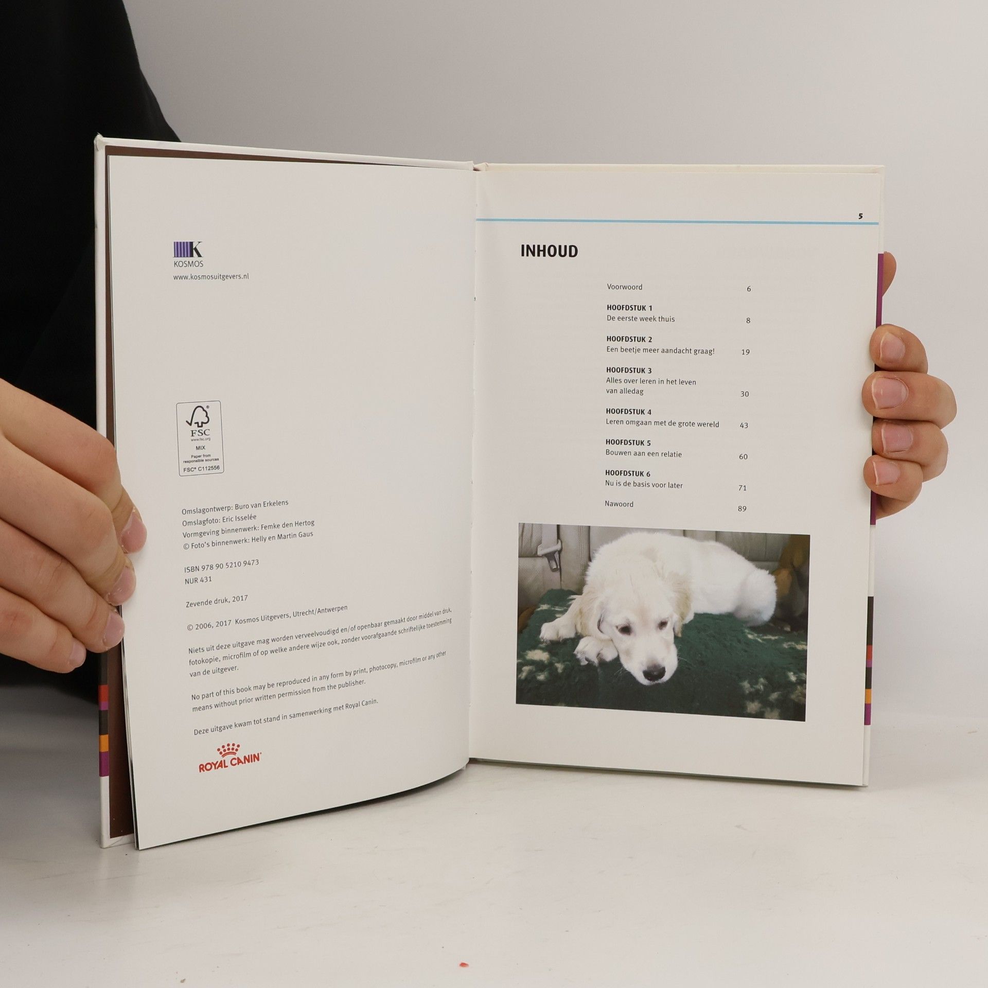Martin Gaus Een puppy in huis + DVD: Bouwen aan een fantastische relatie