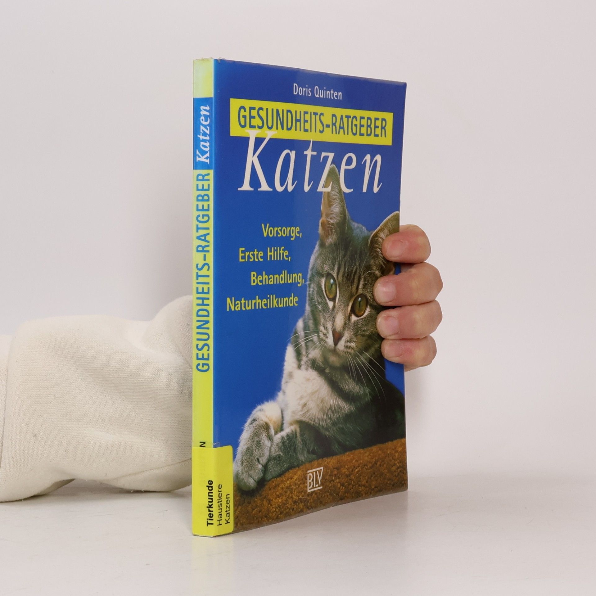 Gesundheits-Ratgeber Katzen