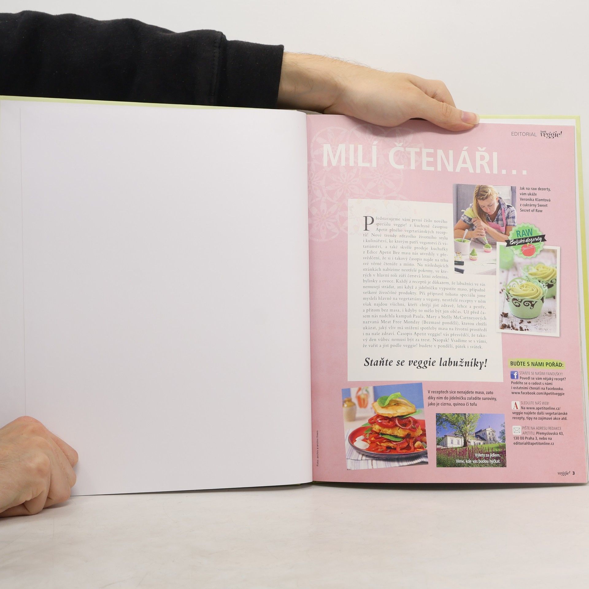 Autorenkollektiv Apetit veggie! I
