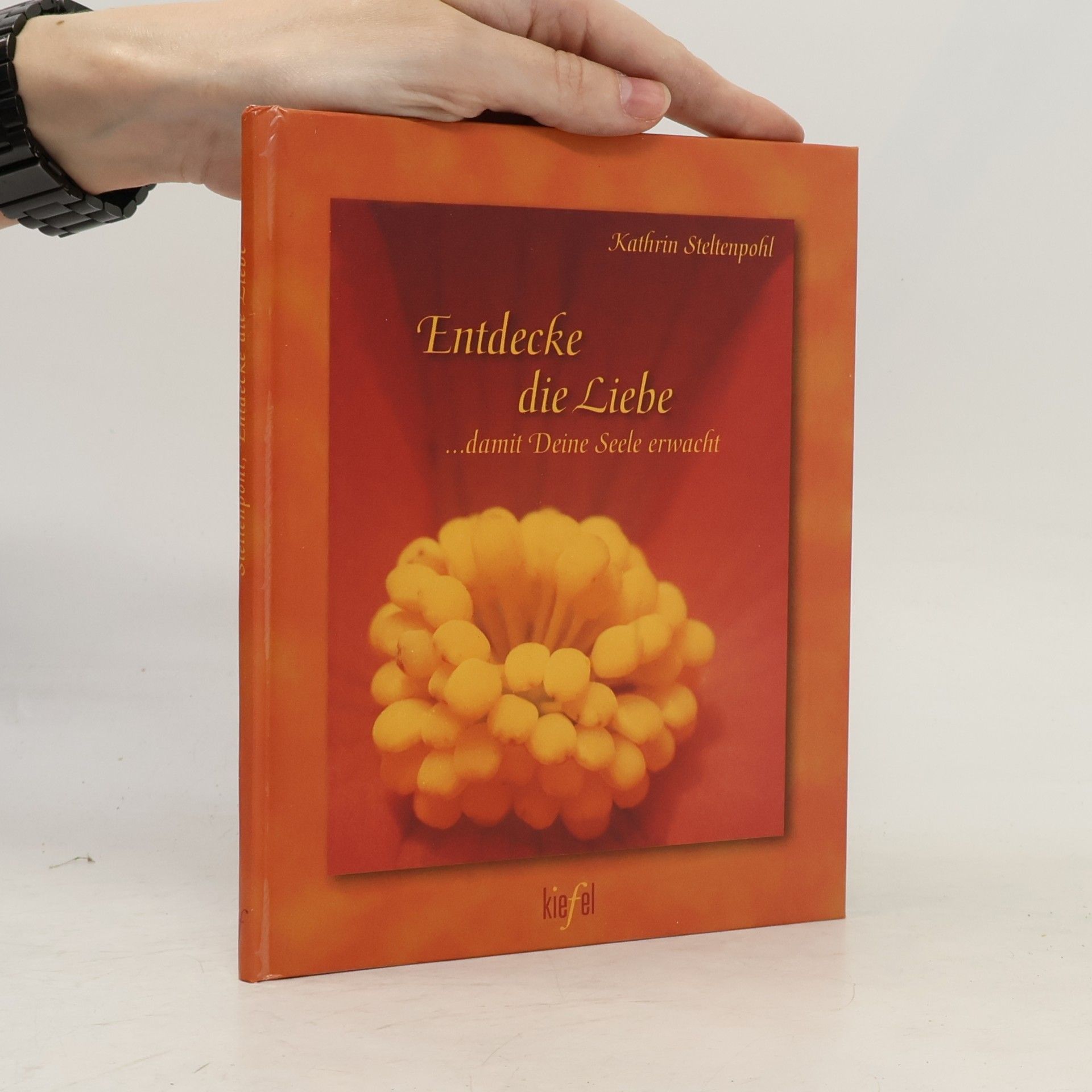 Kathrin Steltenpohl Entdecke die Liebe . . . damit deine Seele erwacht