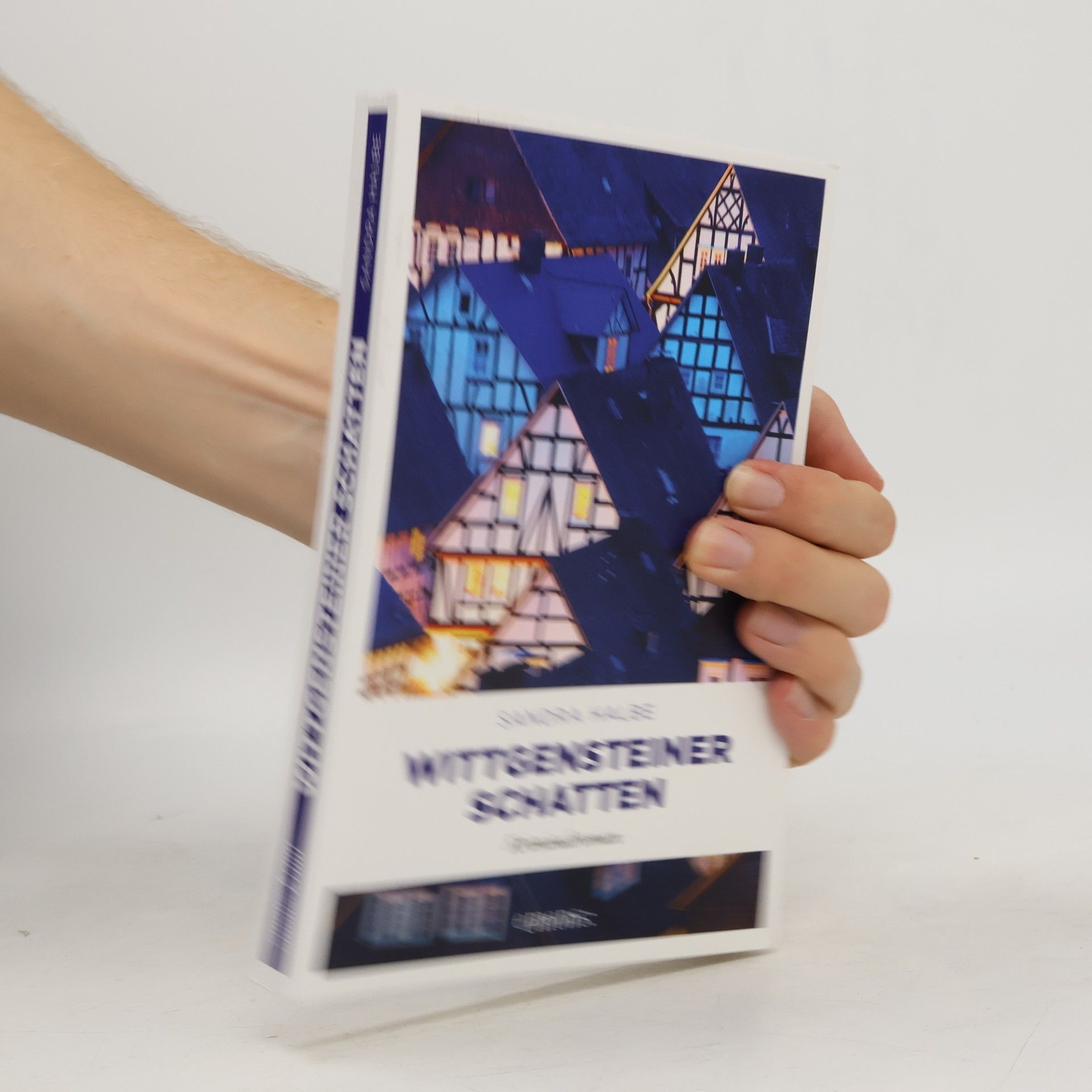 Sandra Halbe Wittgensteiner Schatten