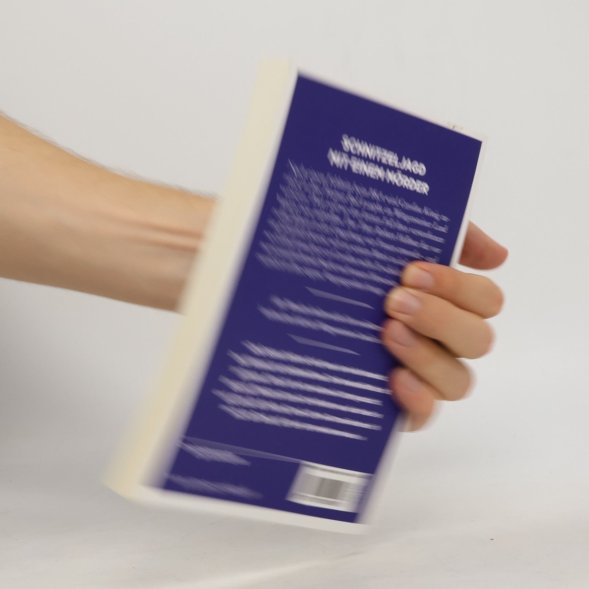 Sandra Halbe Wittgensteiner Schatten