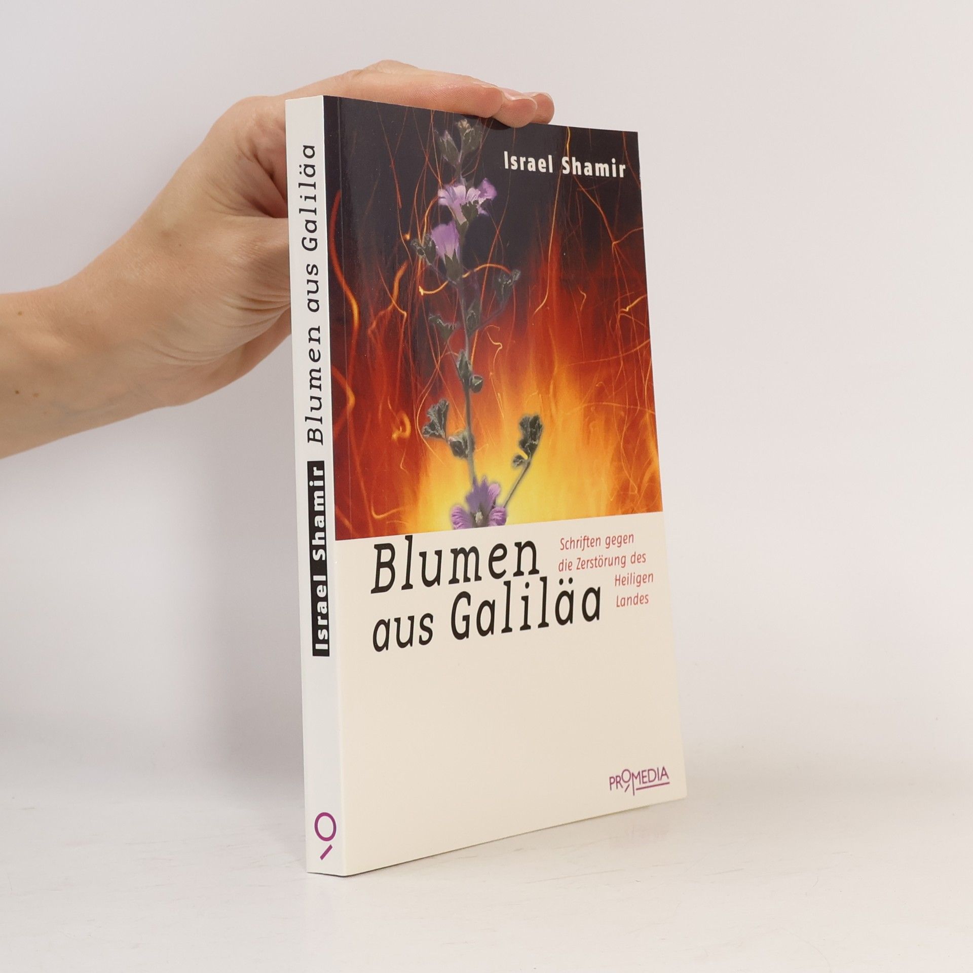 Israel Shamir Blumen aus Galiläa