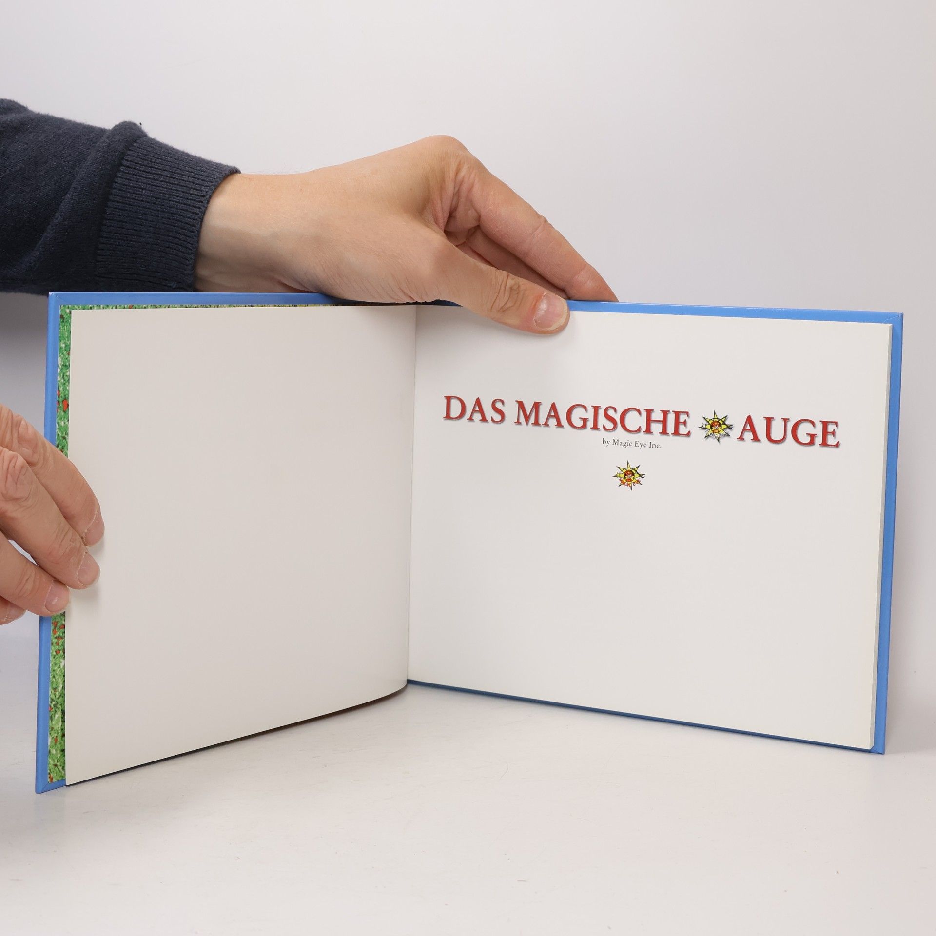 Autorenkollektiv Das magische Auge