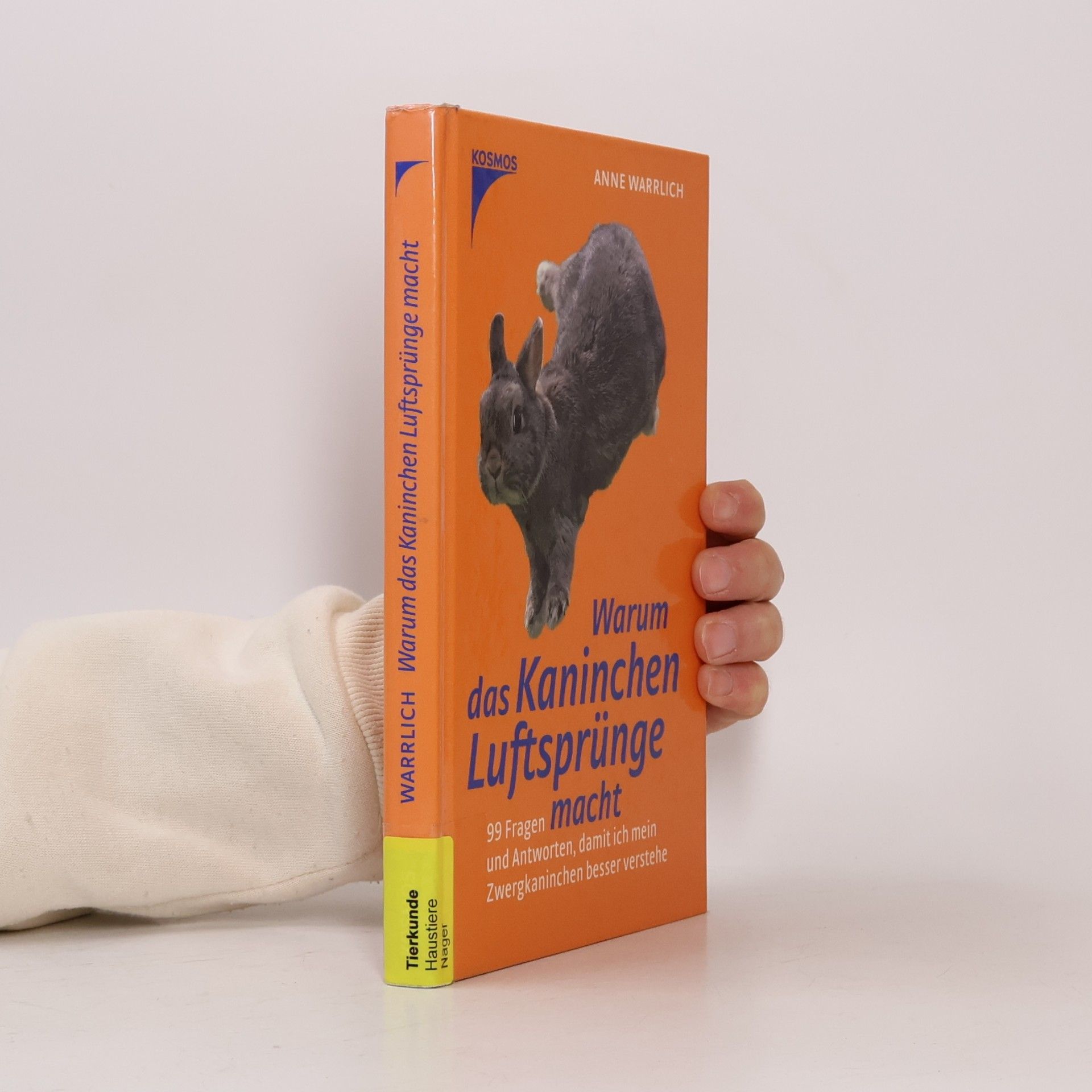 Warum das Kaninchen Luftsprünge macht