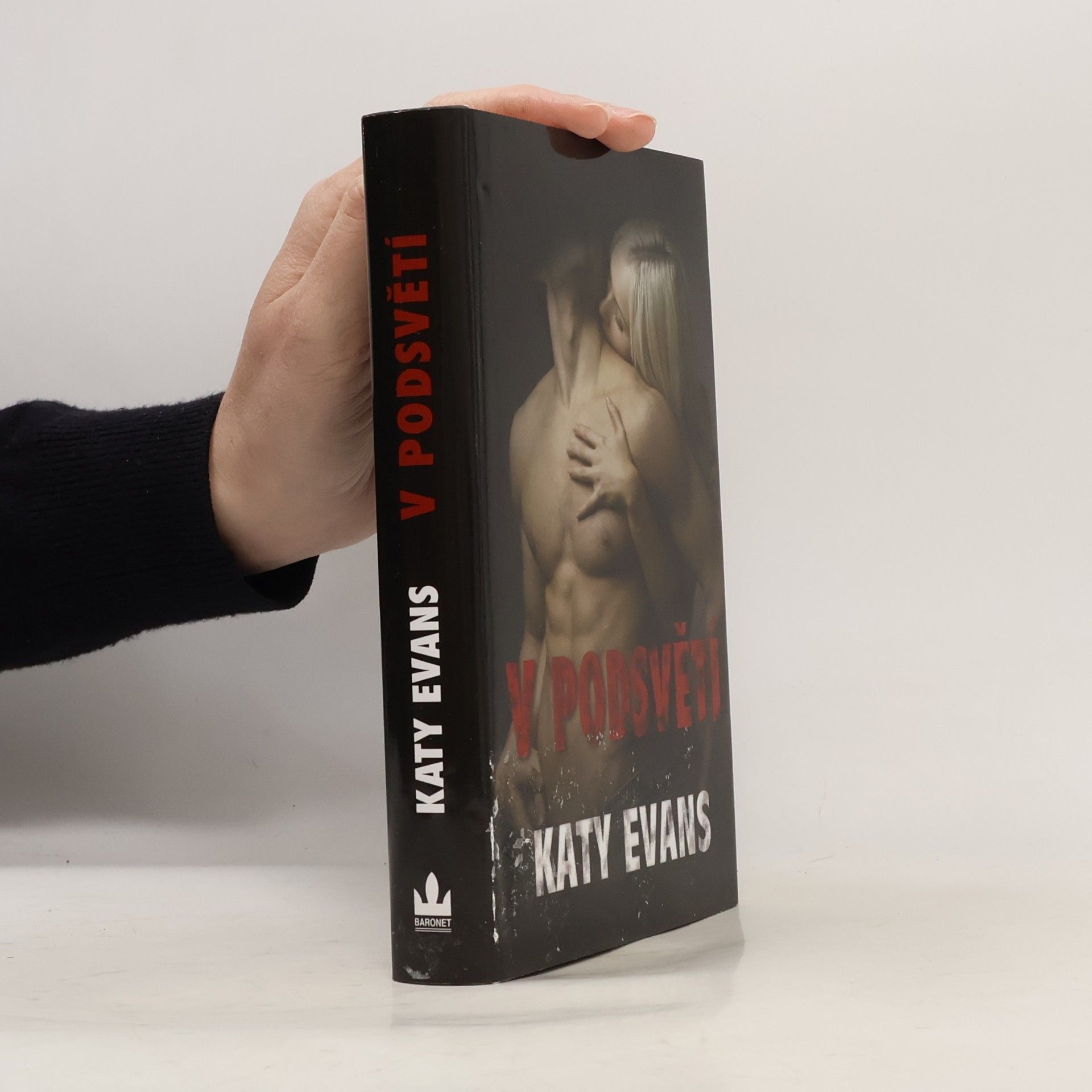 Katy Evans V podsvětí