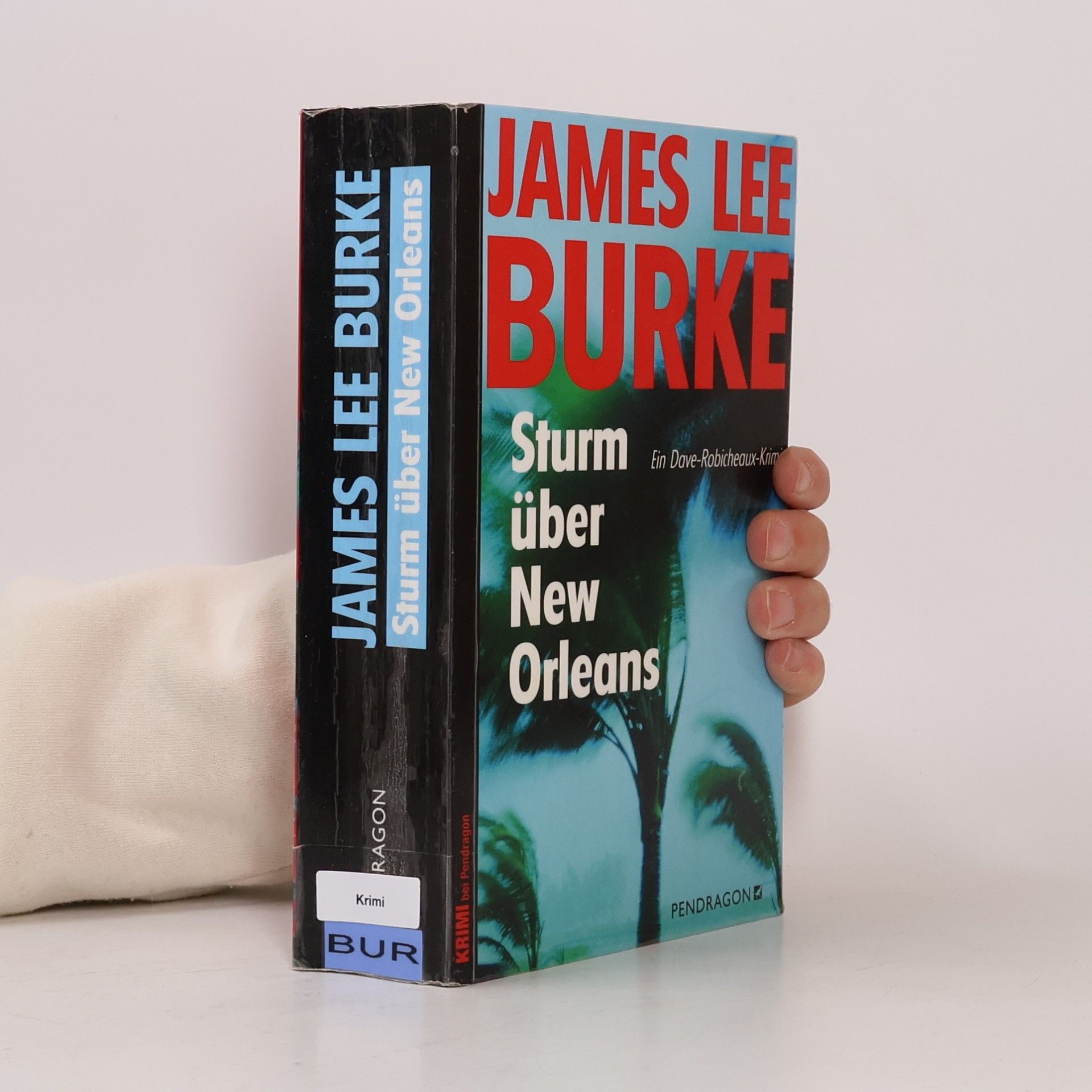 James Lee Burke Sturm über New Orleans