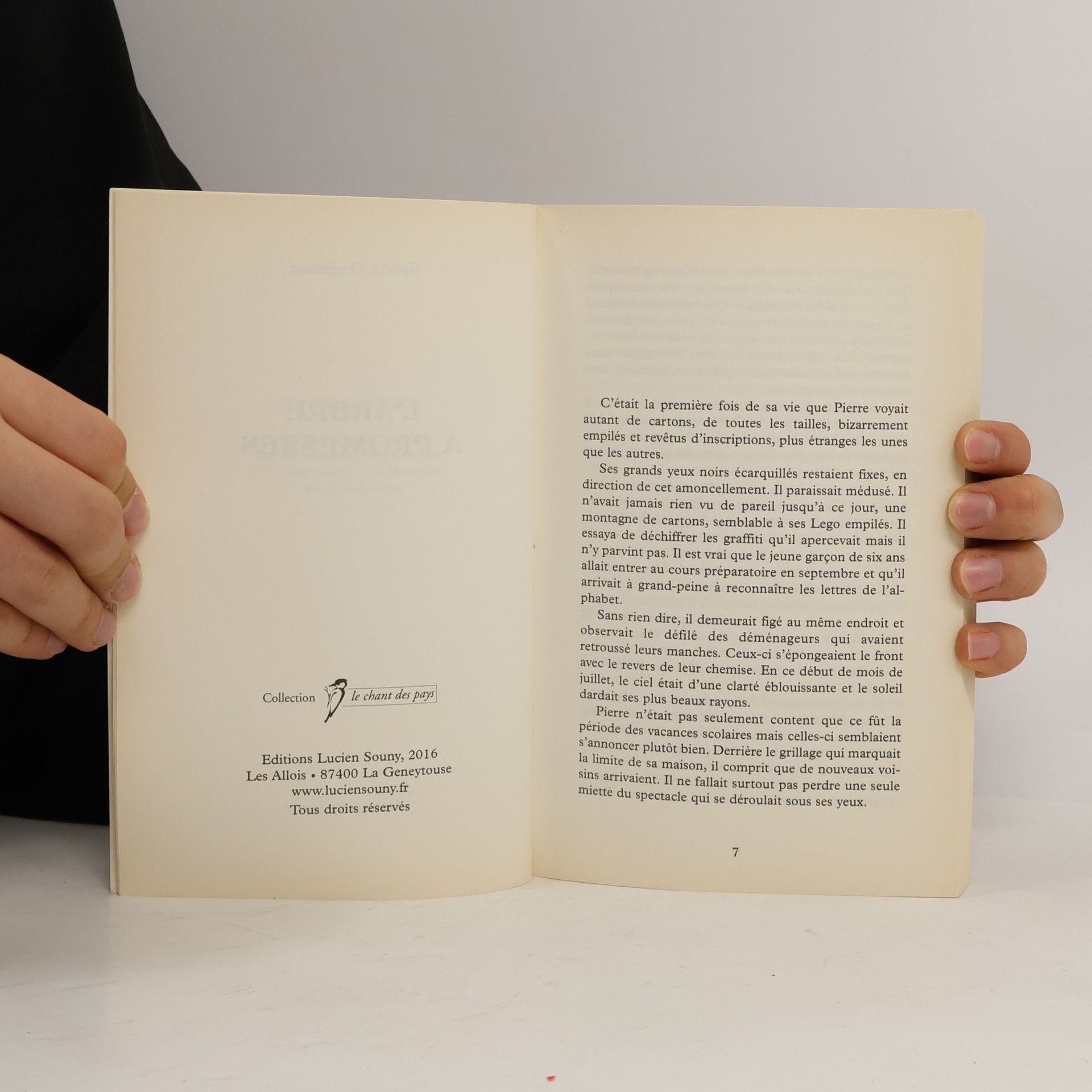 Sylvie Ongenae L'arbre à promesses