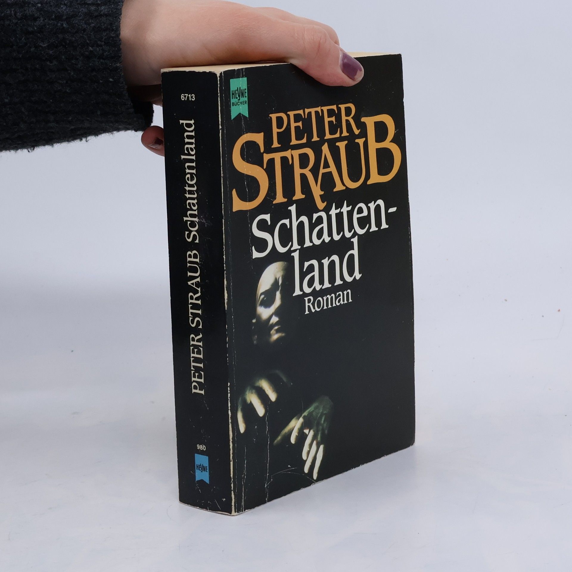 Peter Straub Schattenland