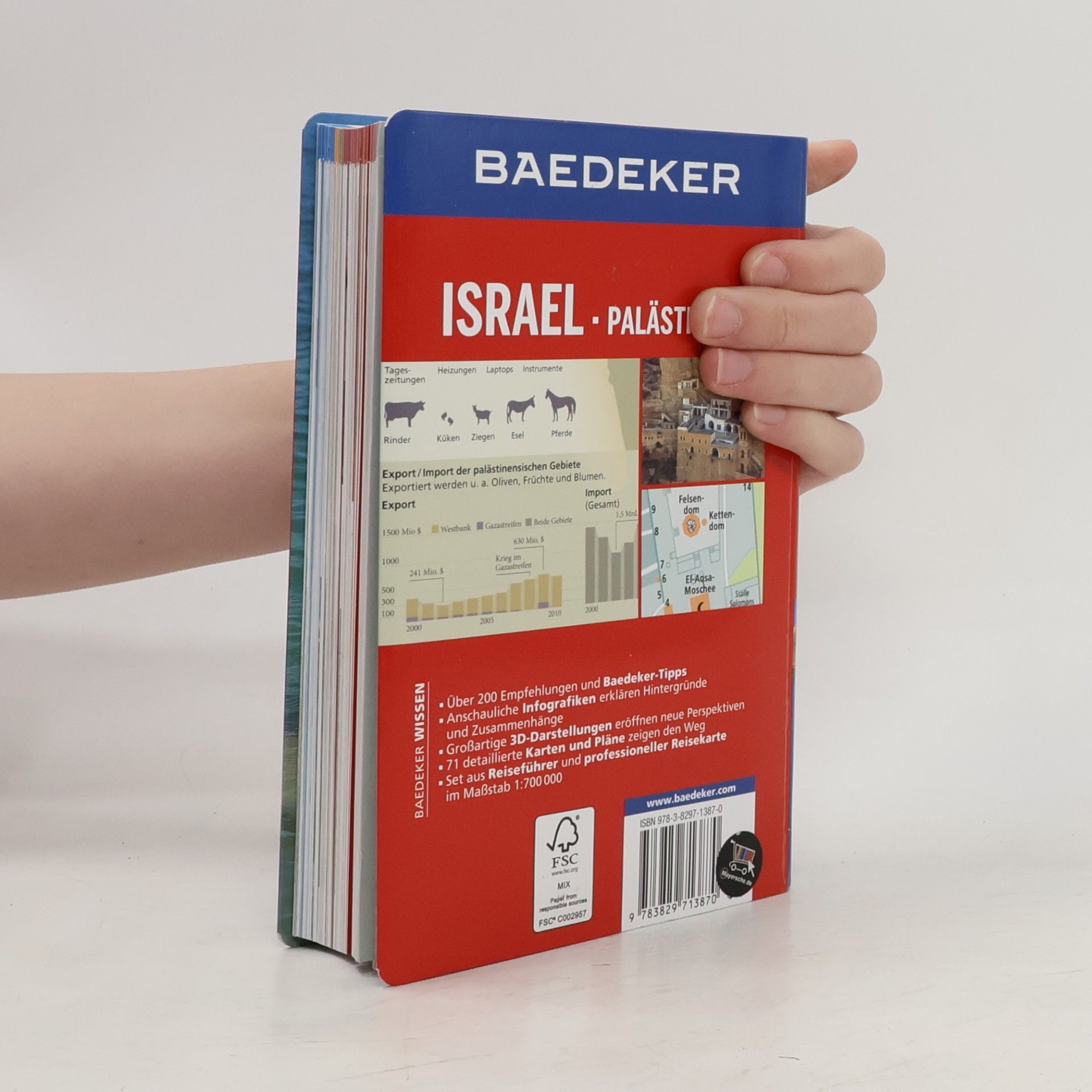 Martin Beck-Gasche Israel, Palästina