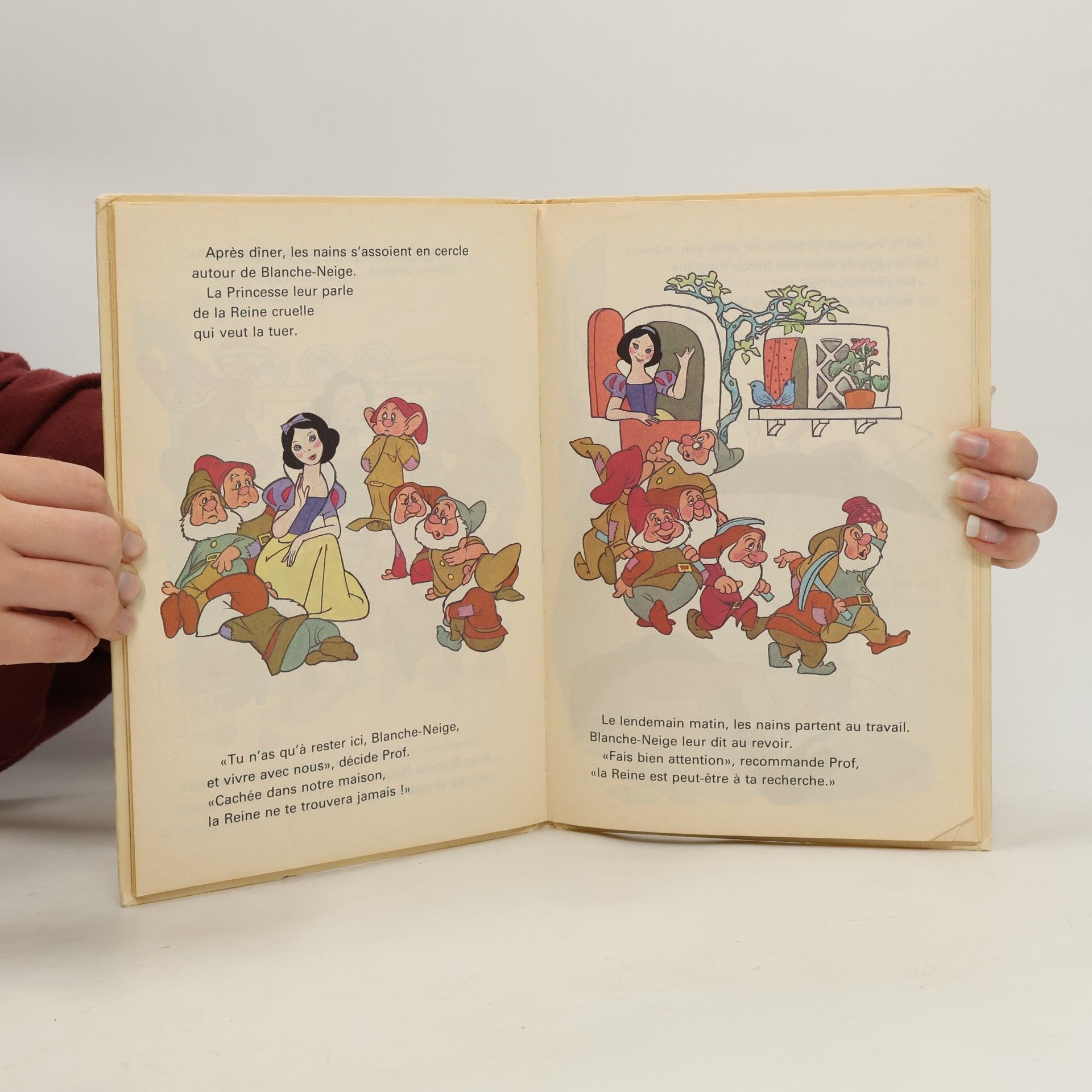 Walt Disney Blanche Neige et les Sept Nains