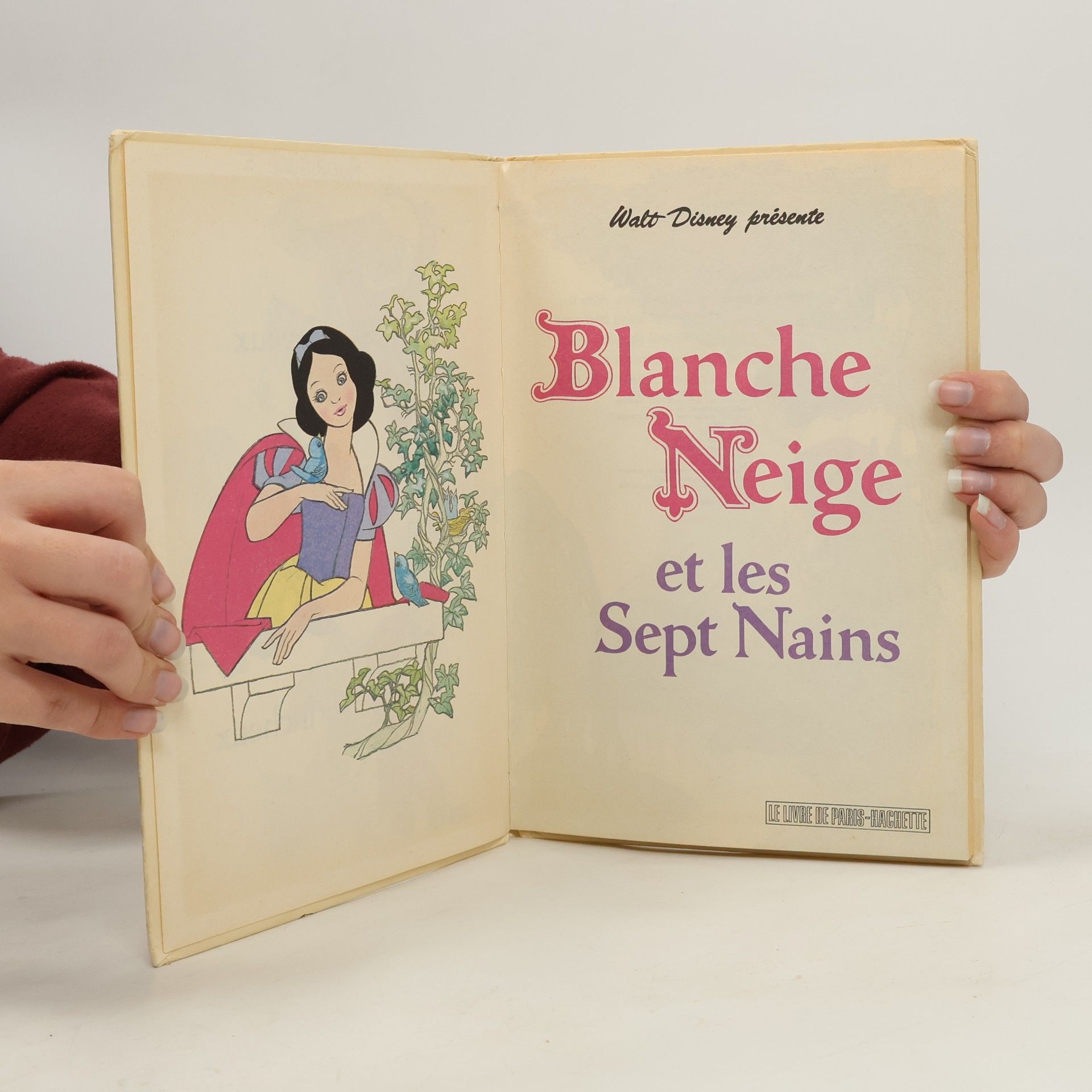 Walt Disney Blanche Neige et les Sept Nains