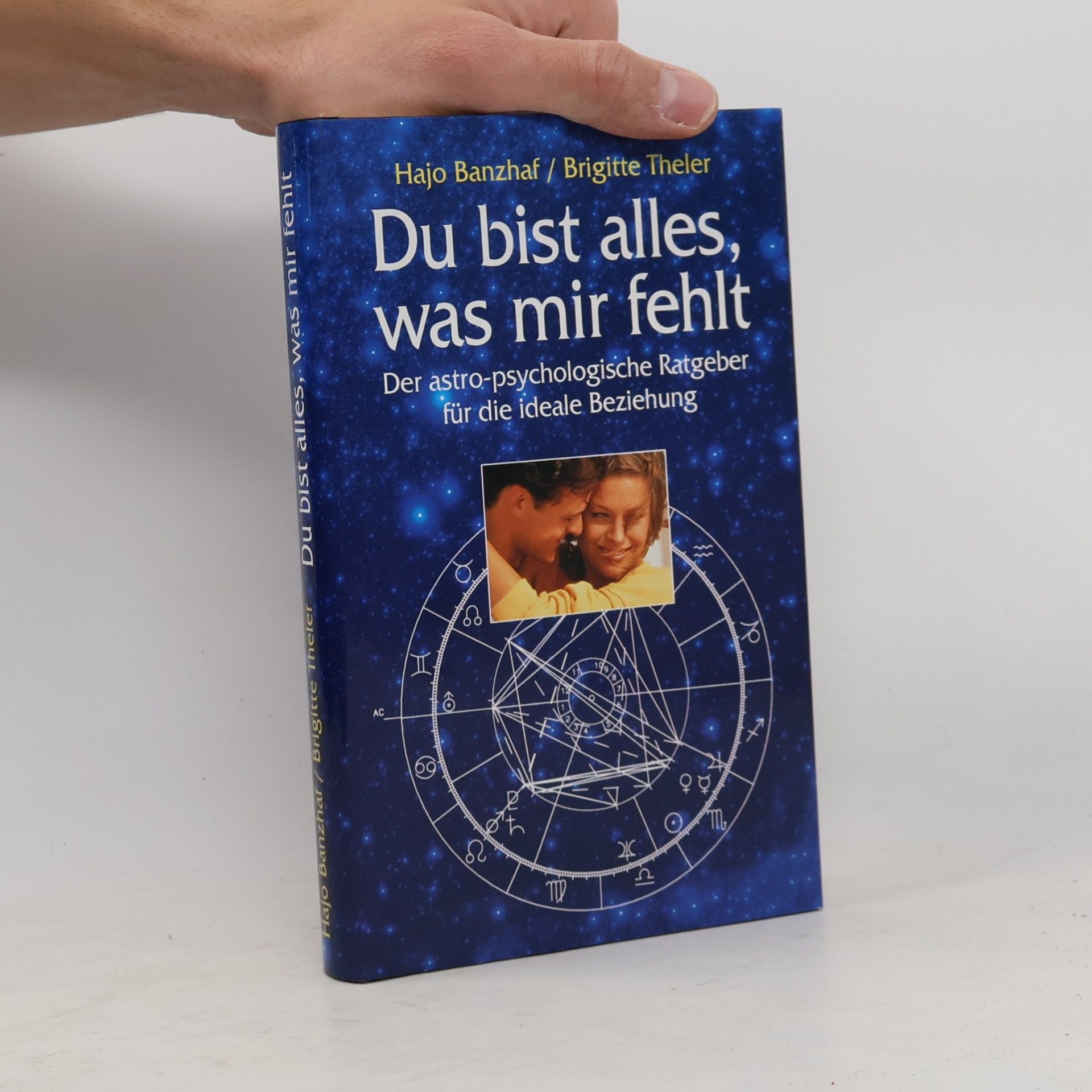 Brigitte Theler Du bist alles, was mir fehlt
