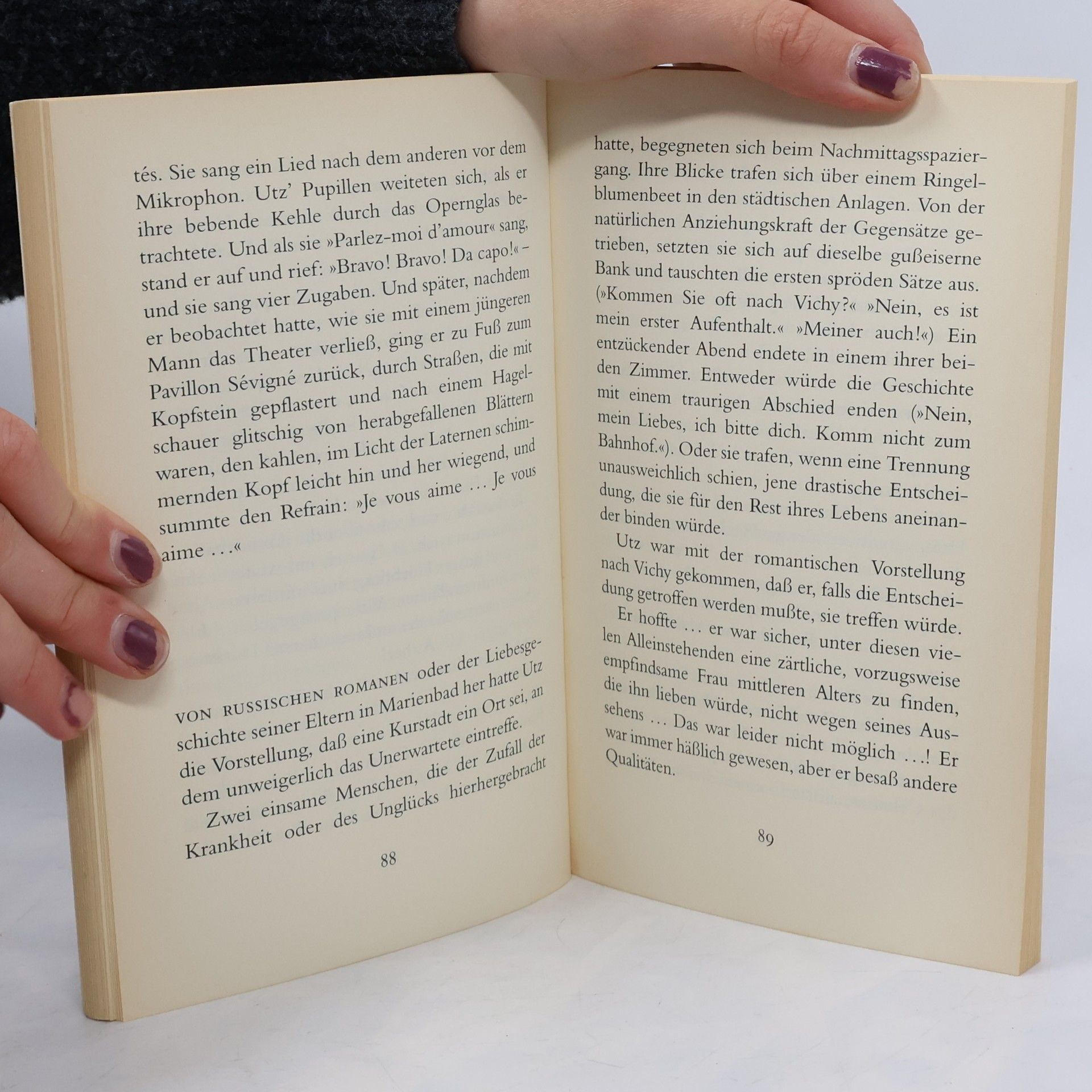 Bruce Chatwin Utz Großdruck