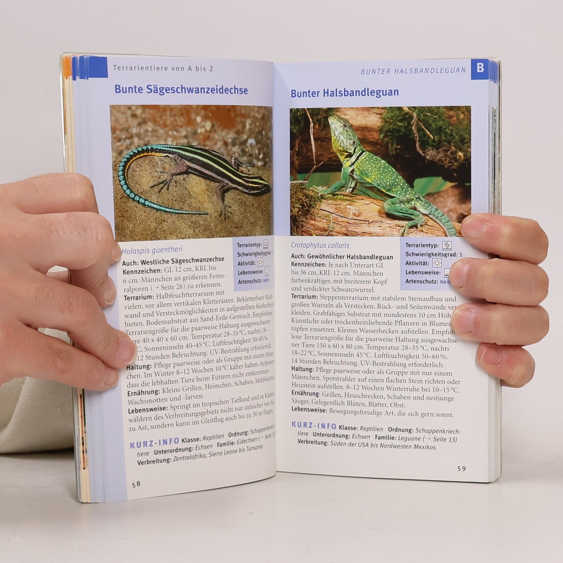 Oliver Drewes Terrarientiere von A bis Z