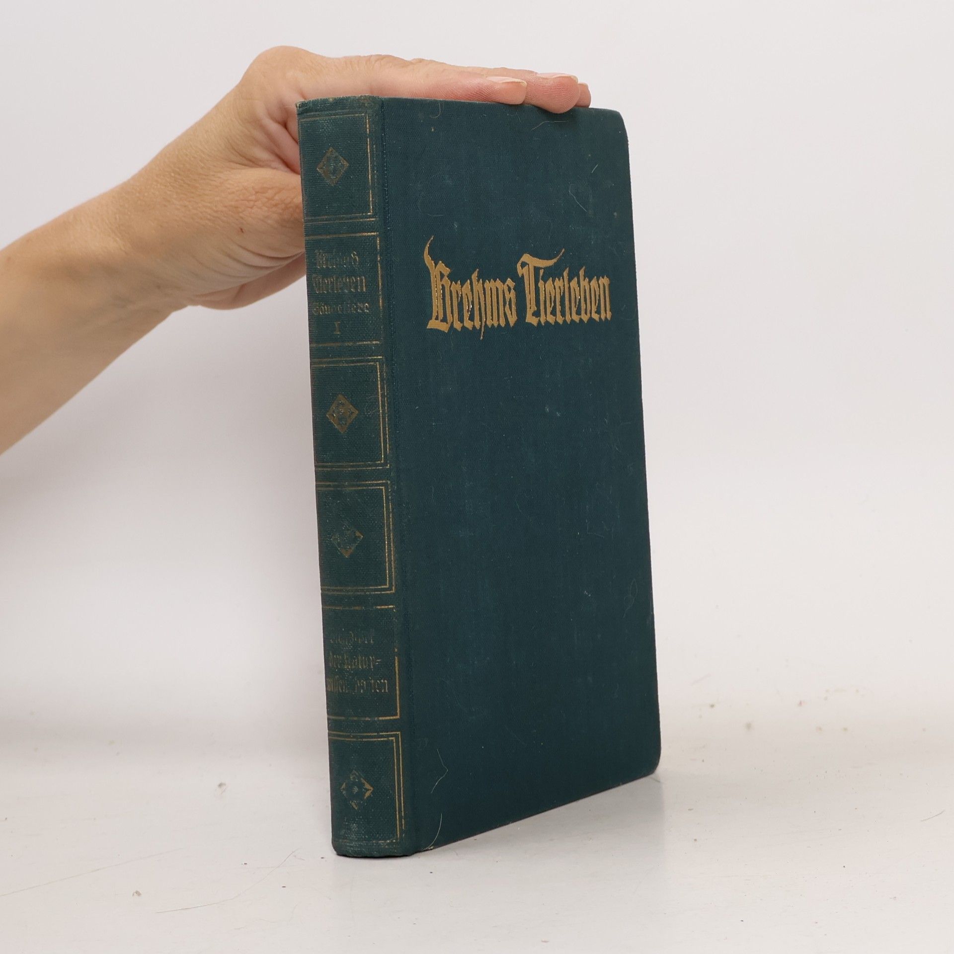 Adolf Meyer Brehms Tierleben