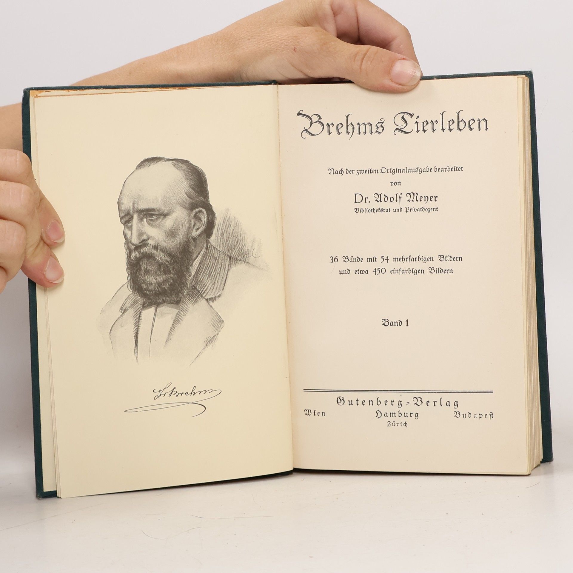 Adolf Meyer Brehms Tierleben