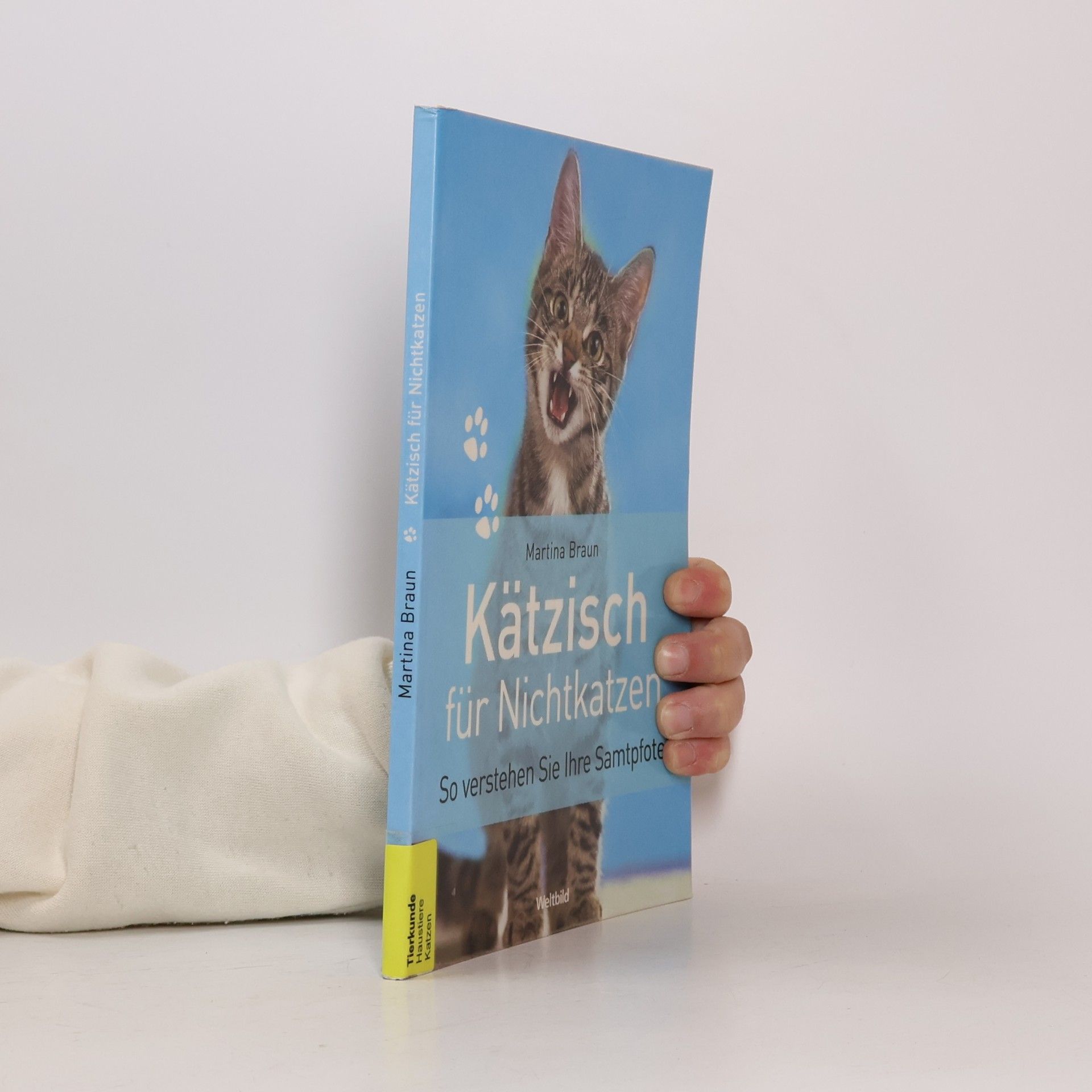 Martina Braun Kätzisch für Nichtkatzen
