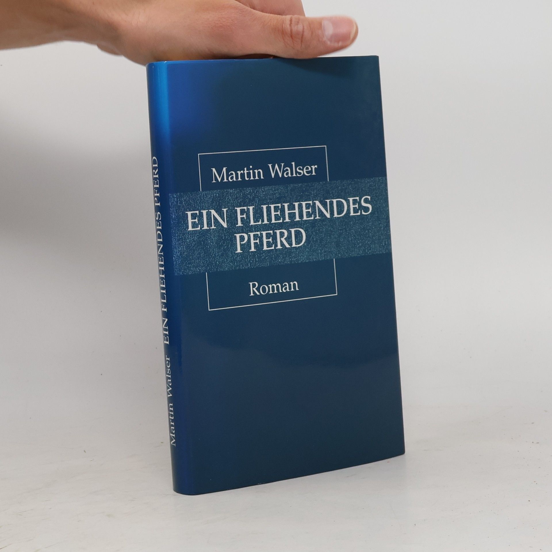 Martin Walser Ein fliehendes Pferd