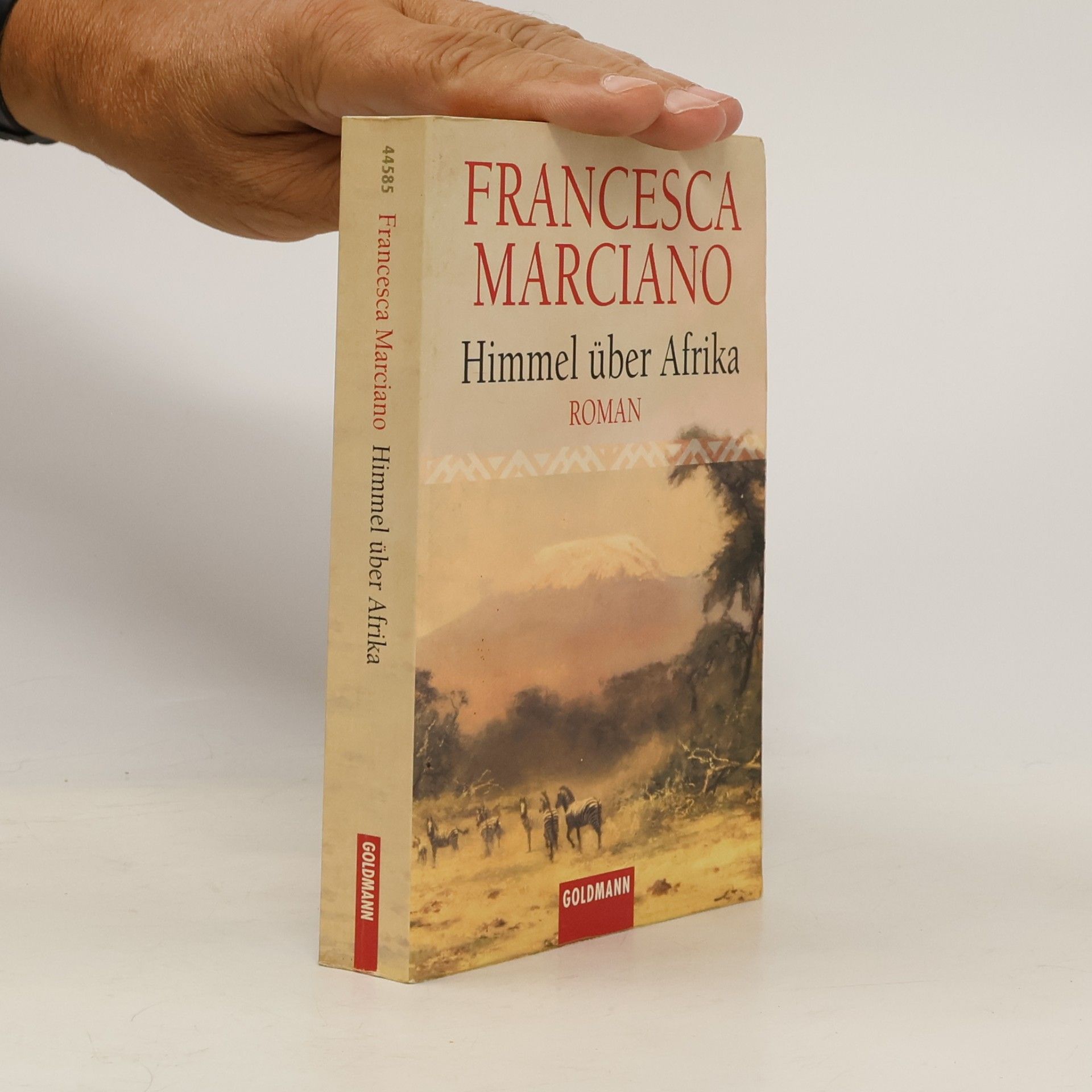 Francesca Marciano Himmel über Afrika