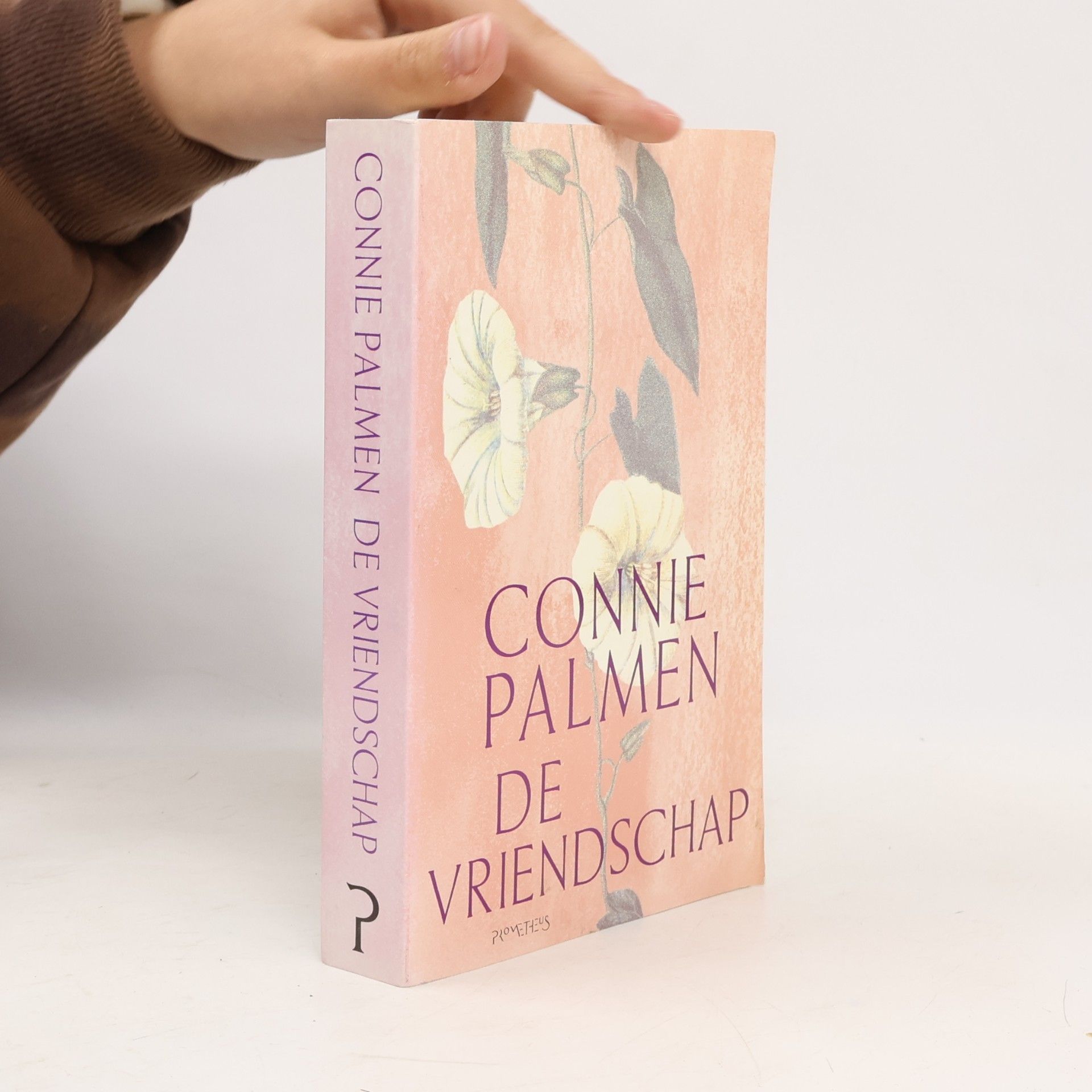 Connie Palmen De vriendschap